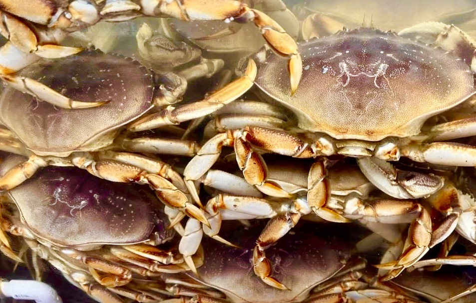 Fishermen's Catch Market & Restaurant Pittsburg