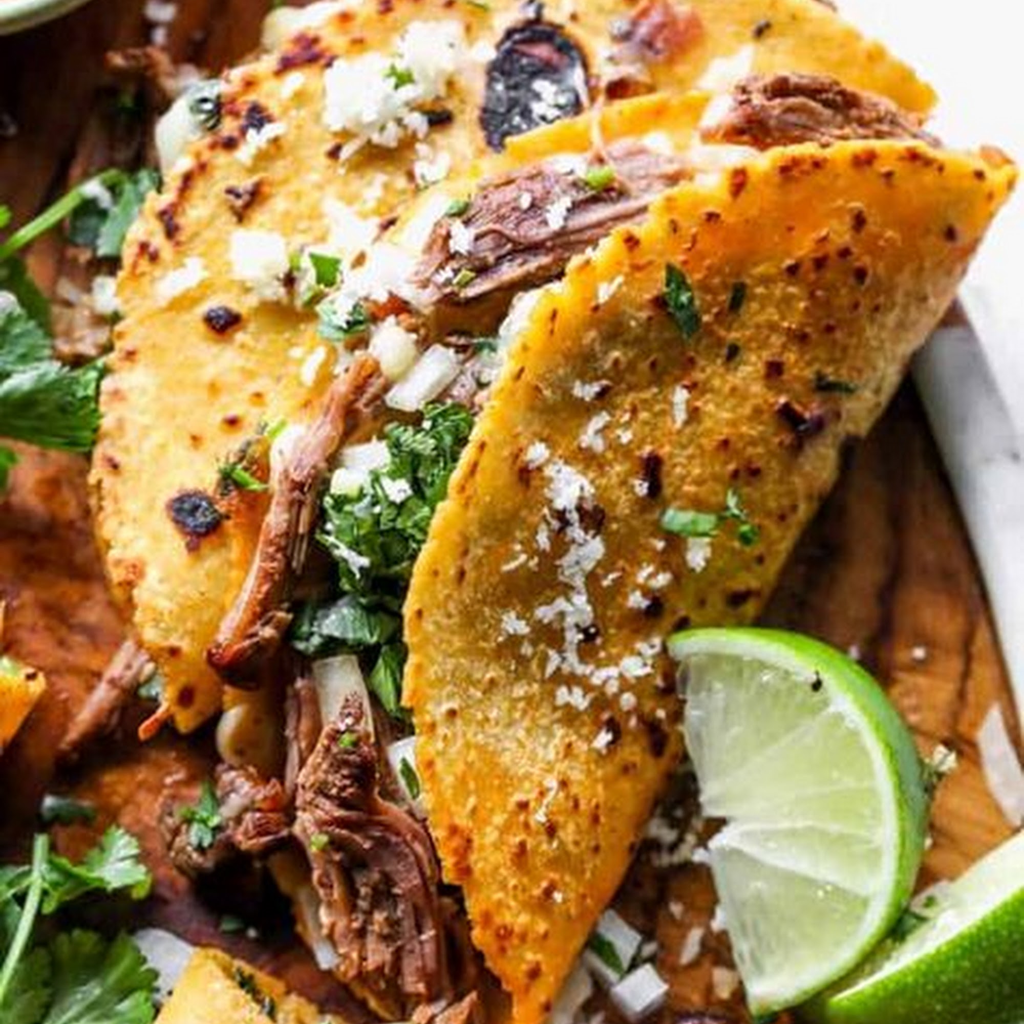 Taqueria Mr Delisioso - Food Truck Pittsburg Pittsburg