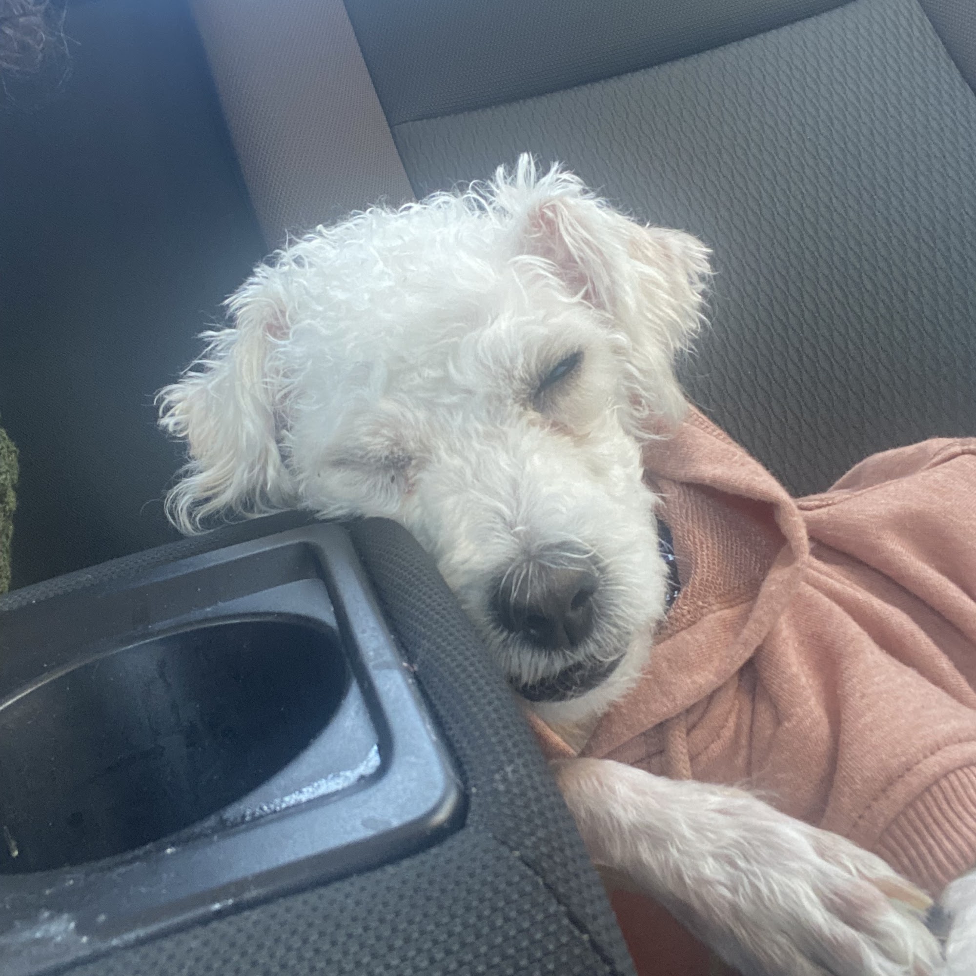 Yolinda Animal Hospital Placentia