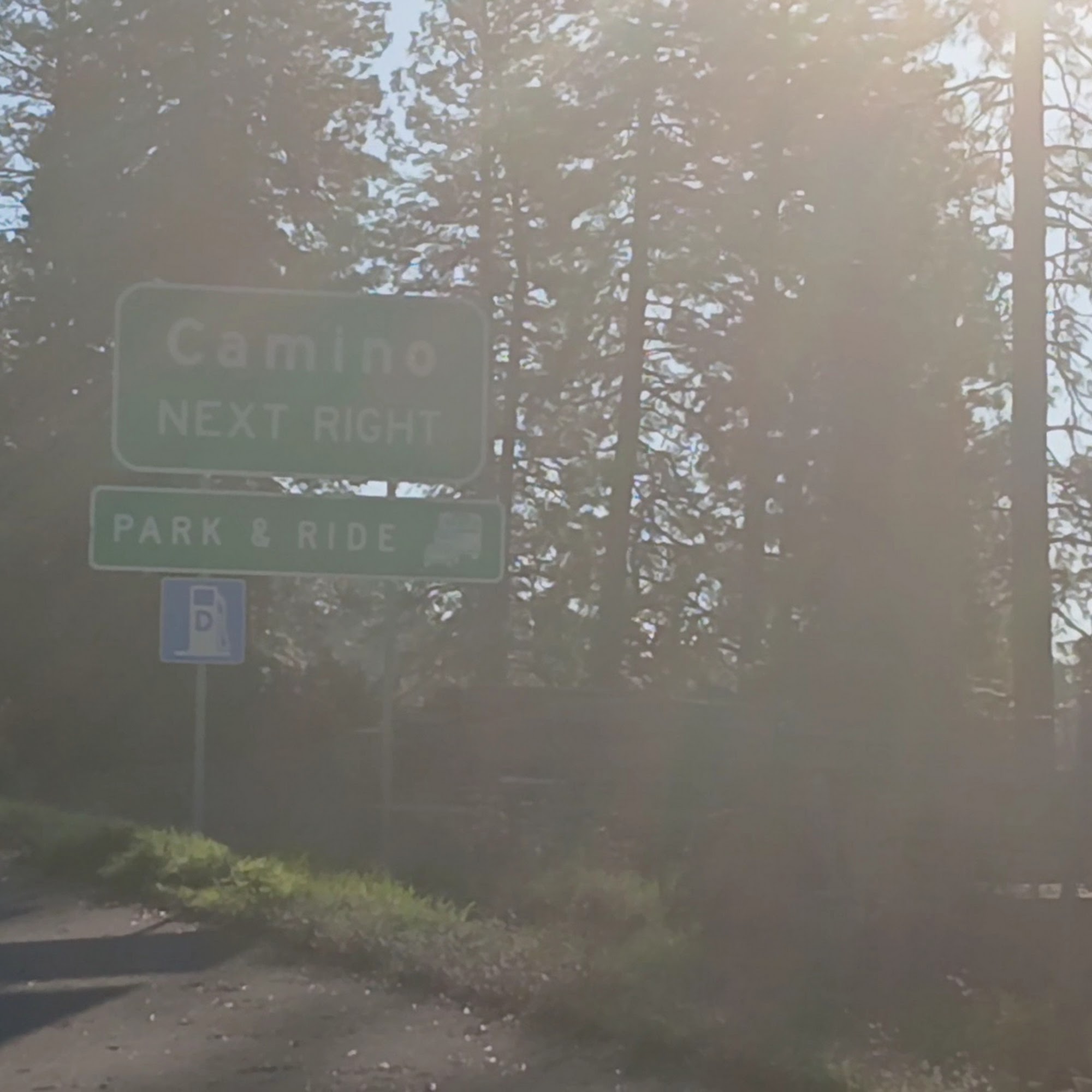 Shilla | Teriyaki & Sushi Bar Placerville