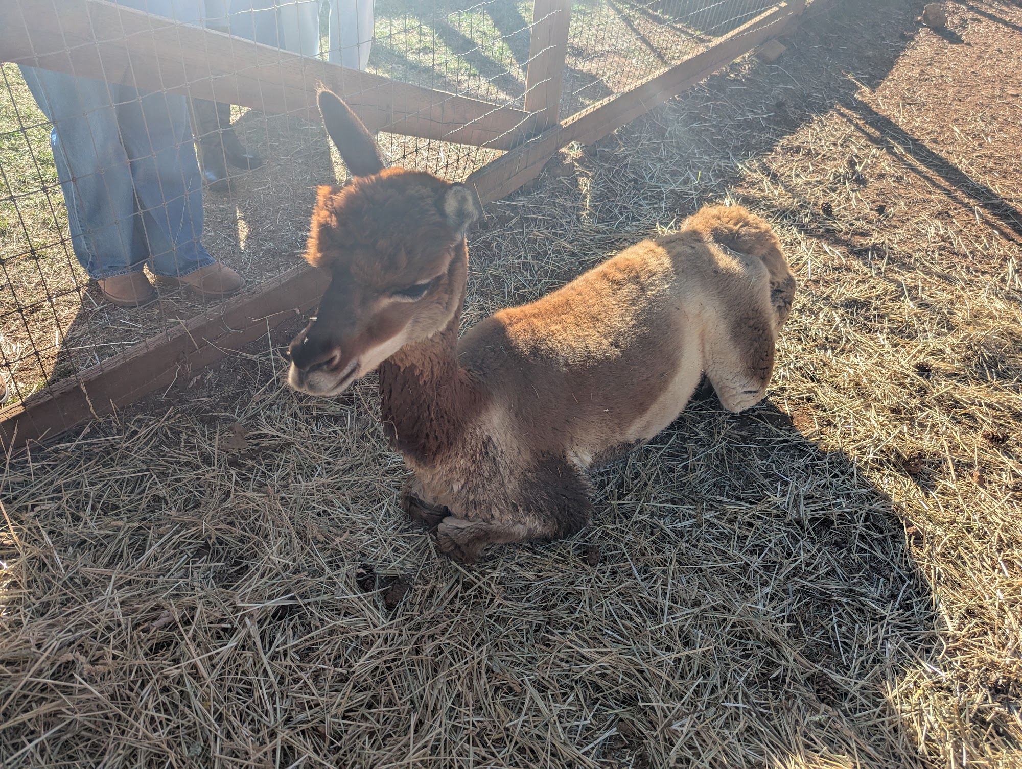 Apple Hill | High Hill Ranch Menu