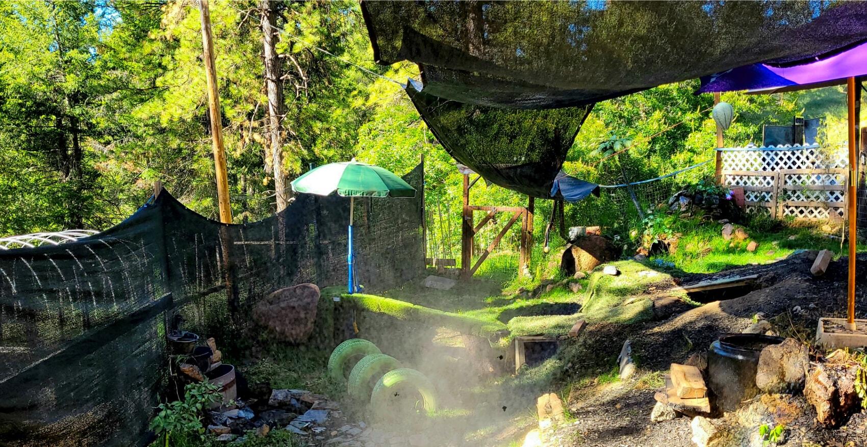 The Placerville Dog House Placerville