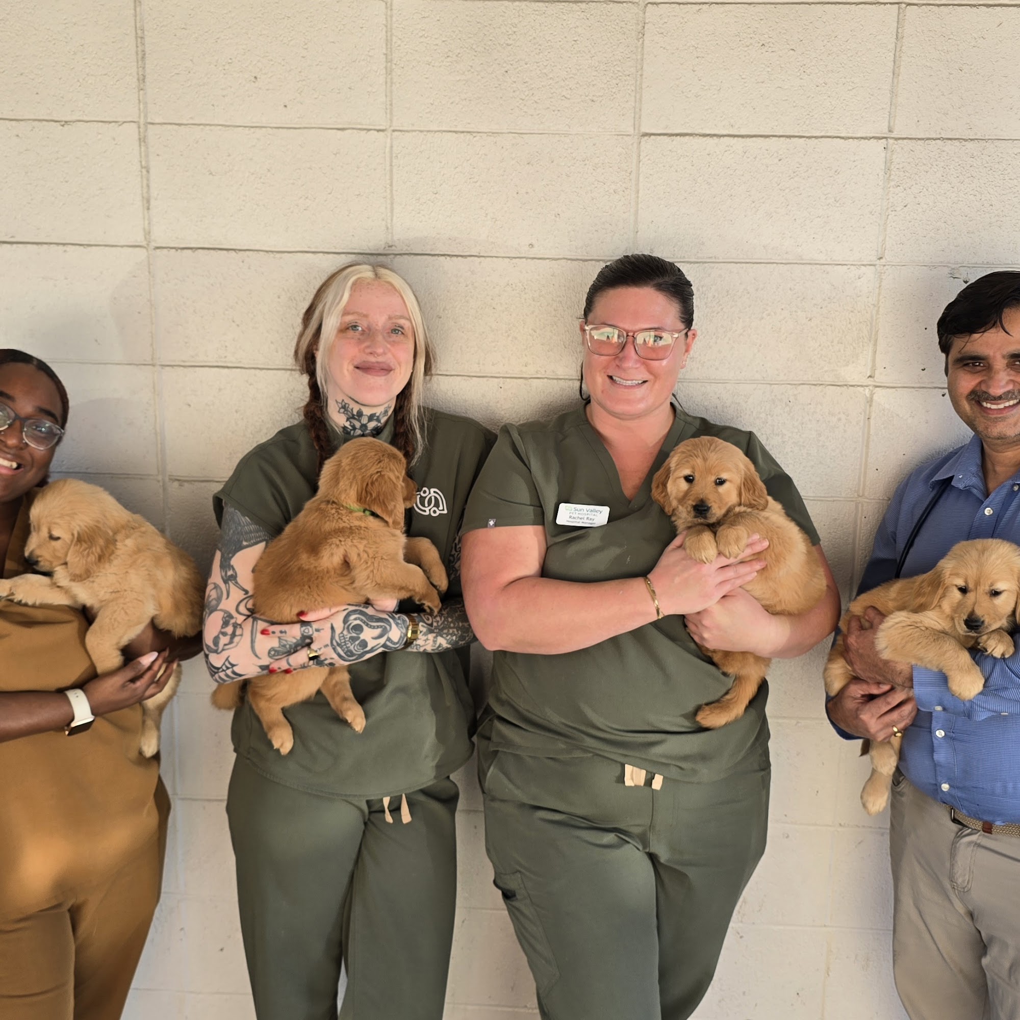 Sun Valley Animal Hospital Pleasant Hill