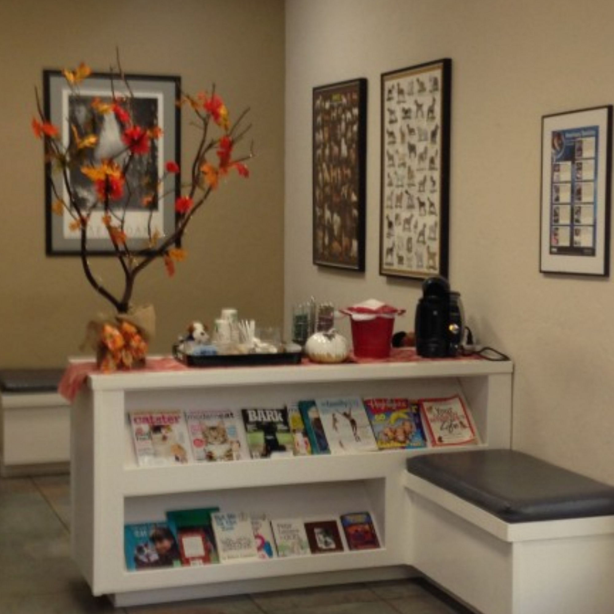 Diablo View Veterinary Medical Hospital Pleasant Hill