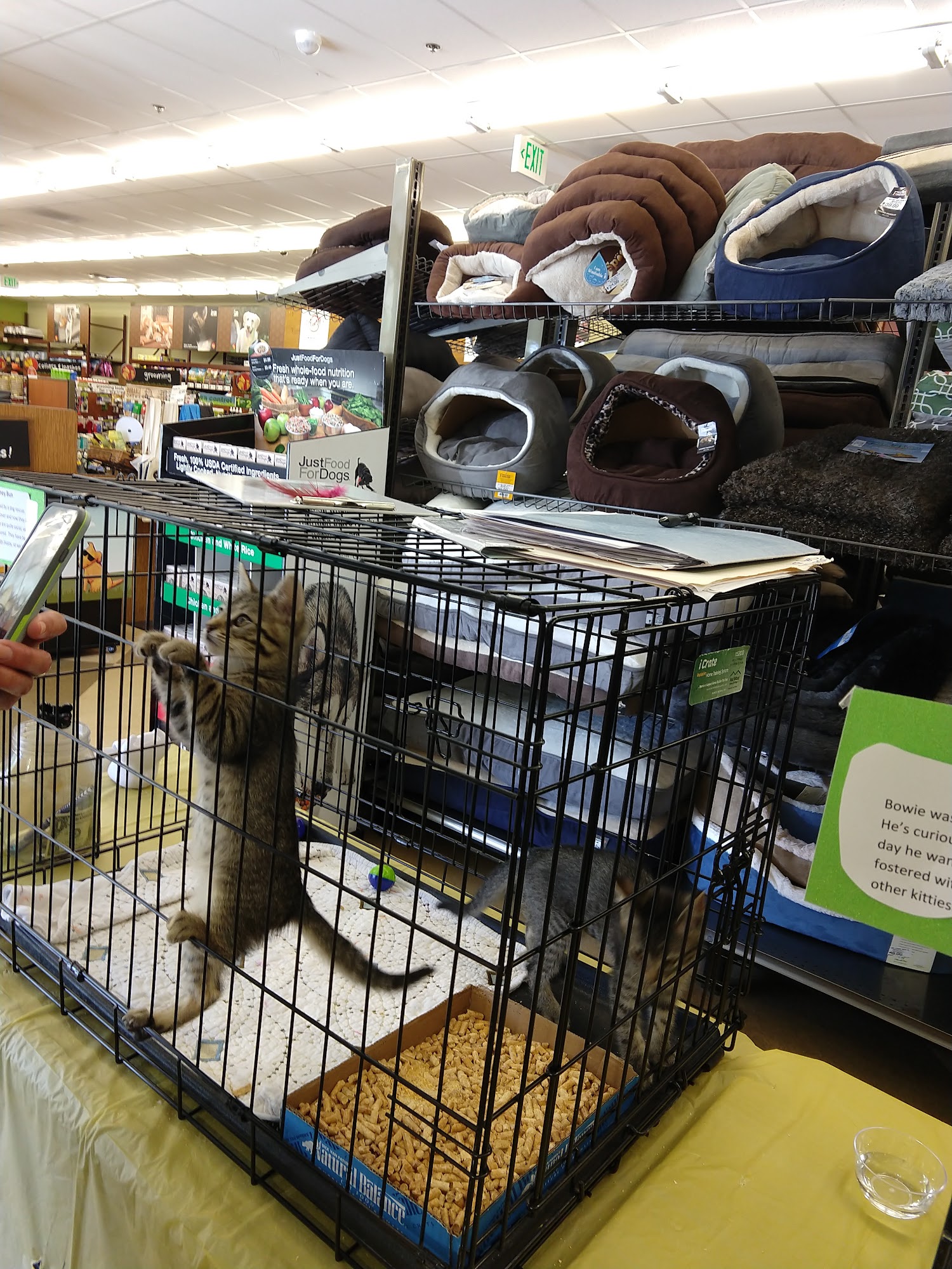 Pet Food Express Pleasanton