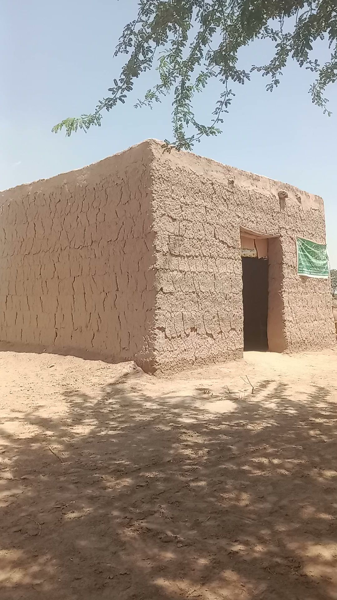 Feline Veterinary Center Pleasanton