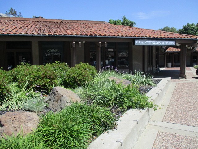 Pleasanton Veterinary Hospital Pleasanton