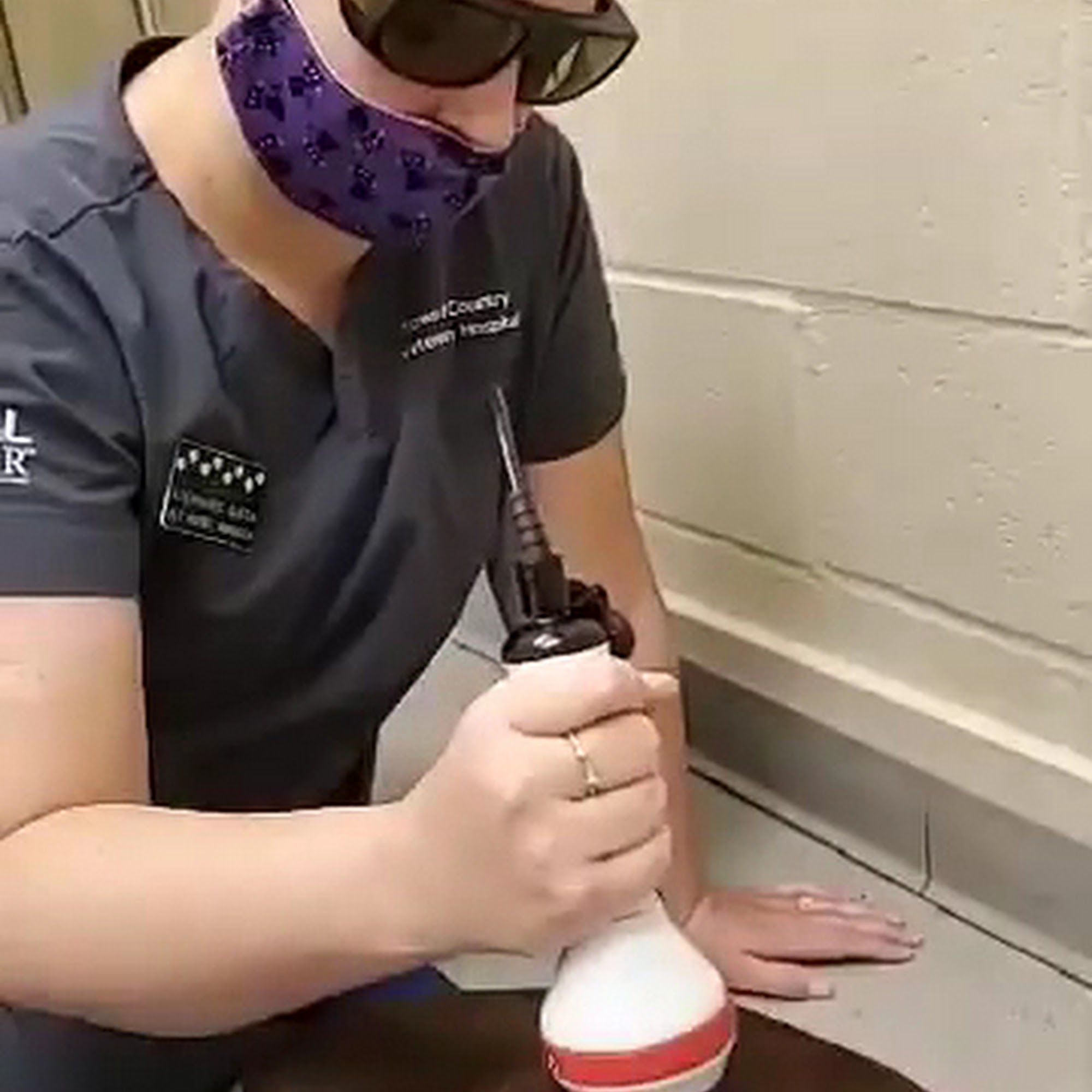 Town & Country Vet Hospital and Pleasanton Pet Hotel Coleen Dossey DVM Pleasanton