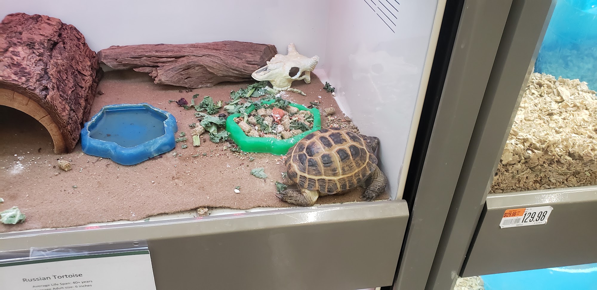 Pet Supplies Plus Pleasanton Pleasanton