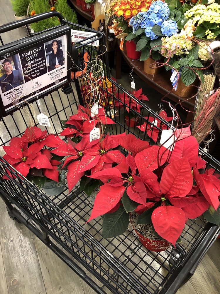 Safeway Bakery Pleasanton