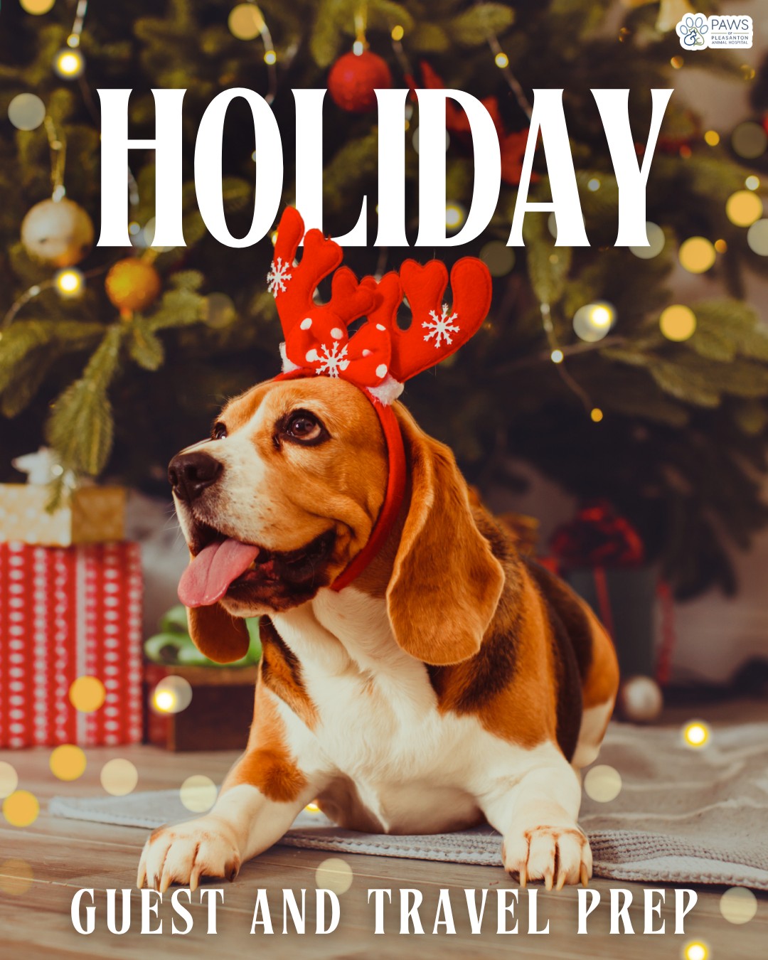 Paws of Pleasanton Animal Hospital Pleasanton