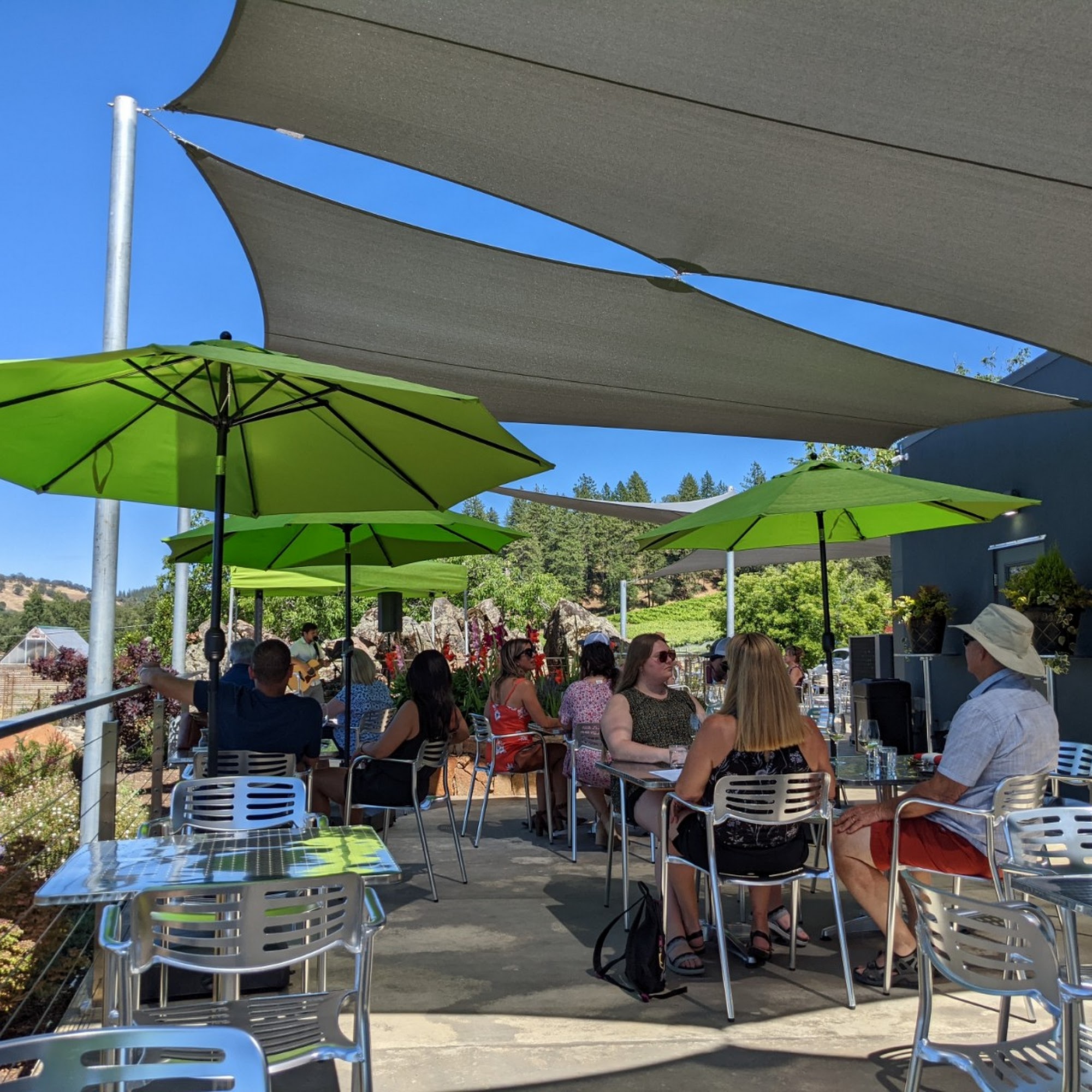 La Mesa Vineyards Plymouth