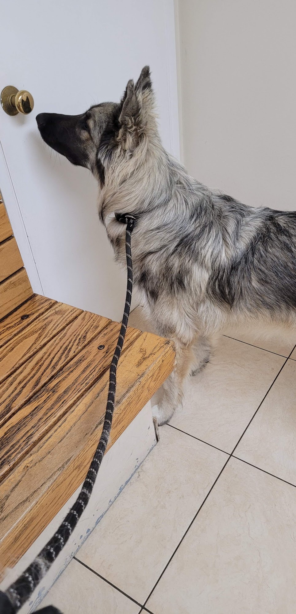 Pomona Animal Hospital Pomona