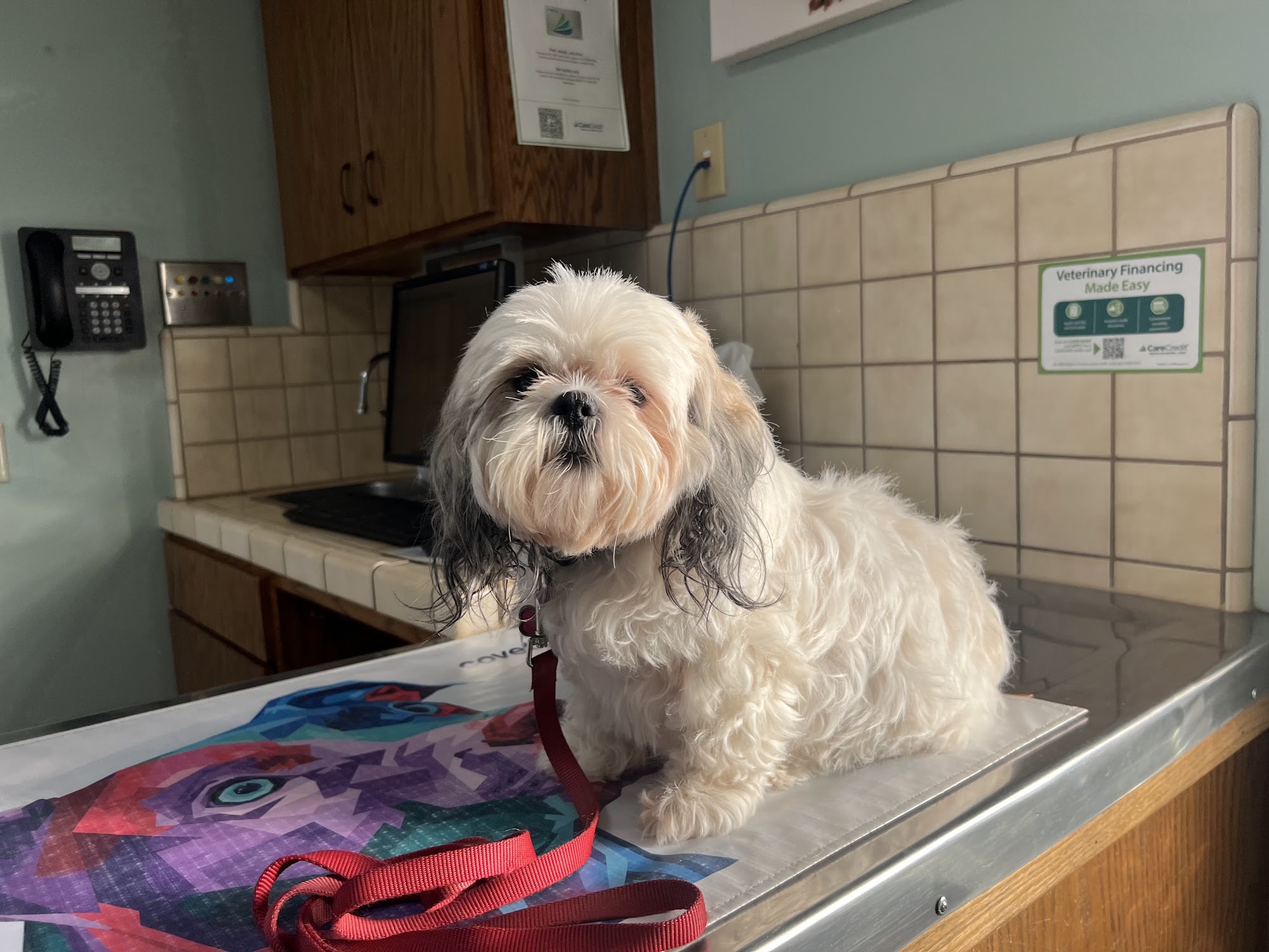 Sierra Veterinary Center Porterville