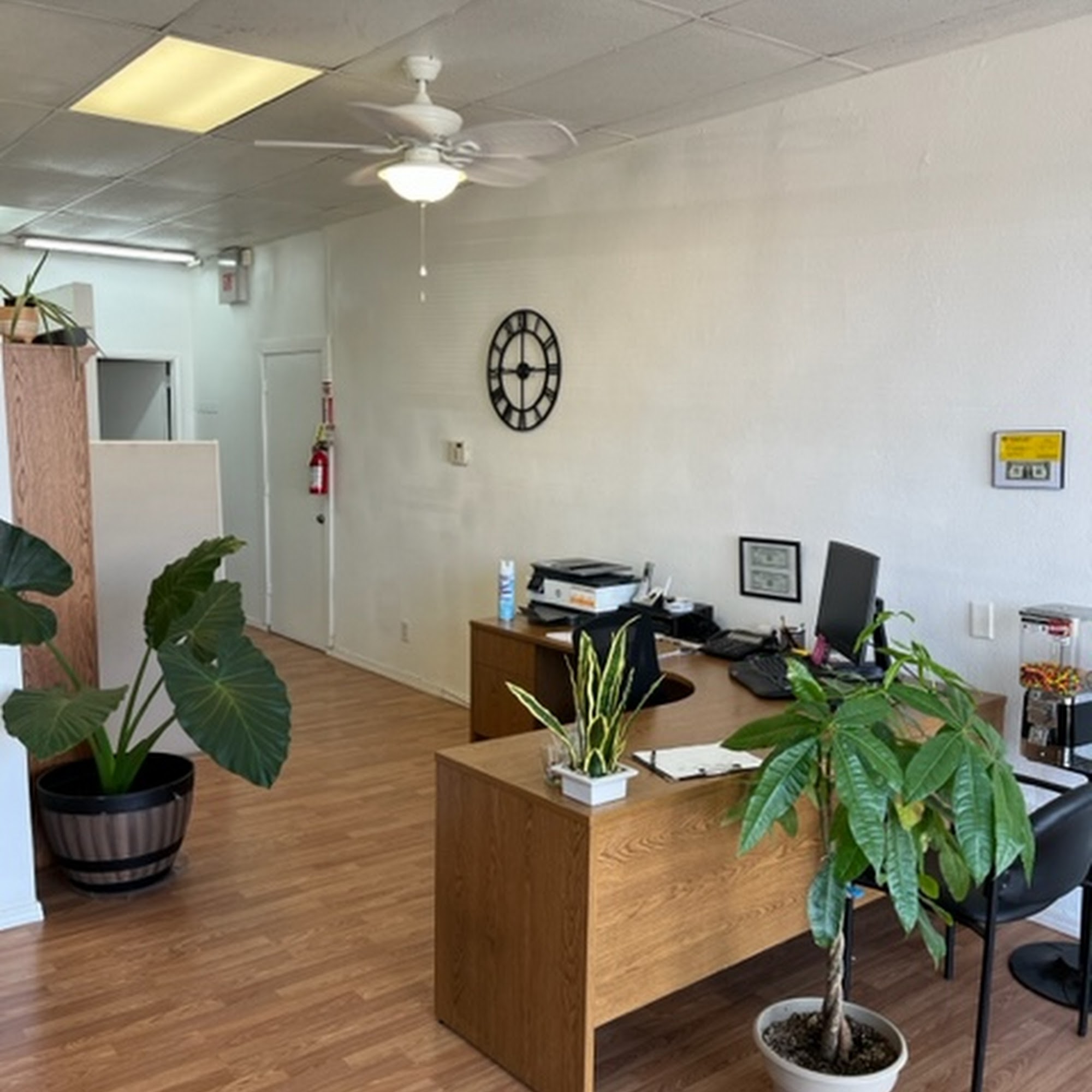 Lady Diana's Business Services