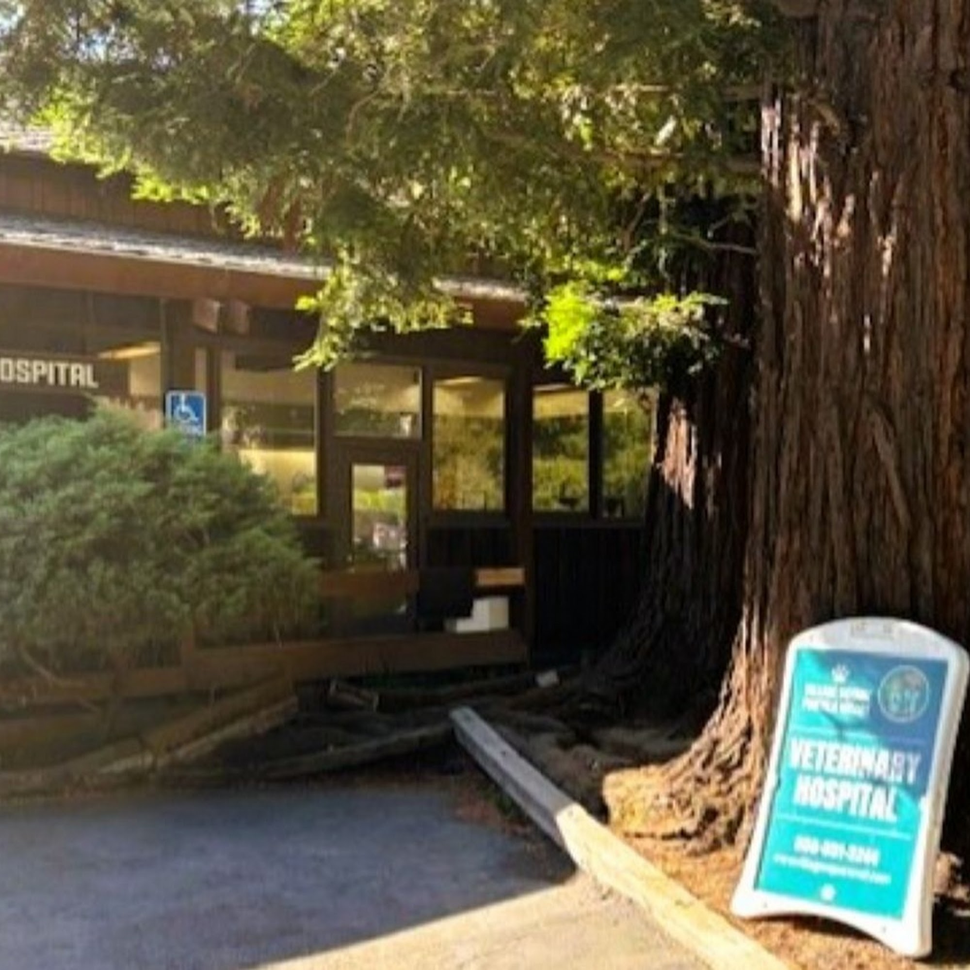 Village Square Portola Valley Veterinary Hospital Portola Valley