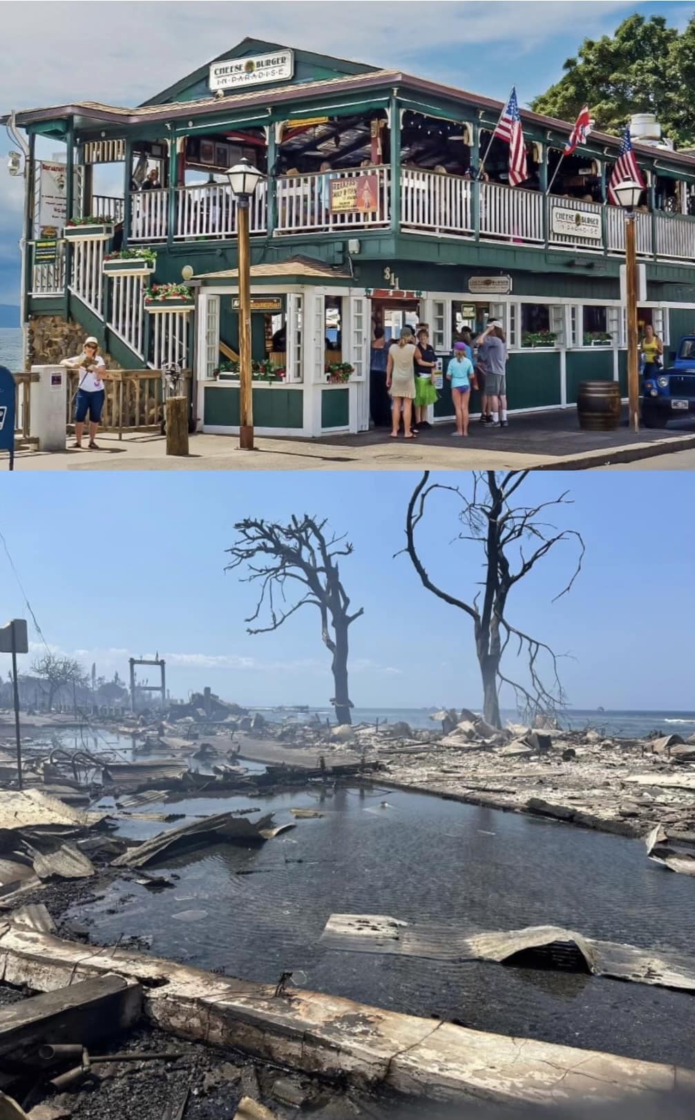 Cheeseburger Restaurants