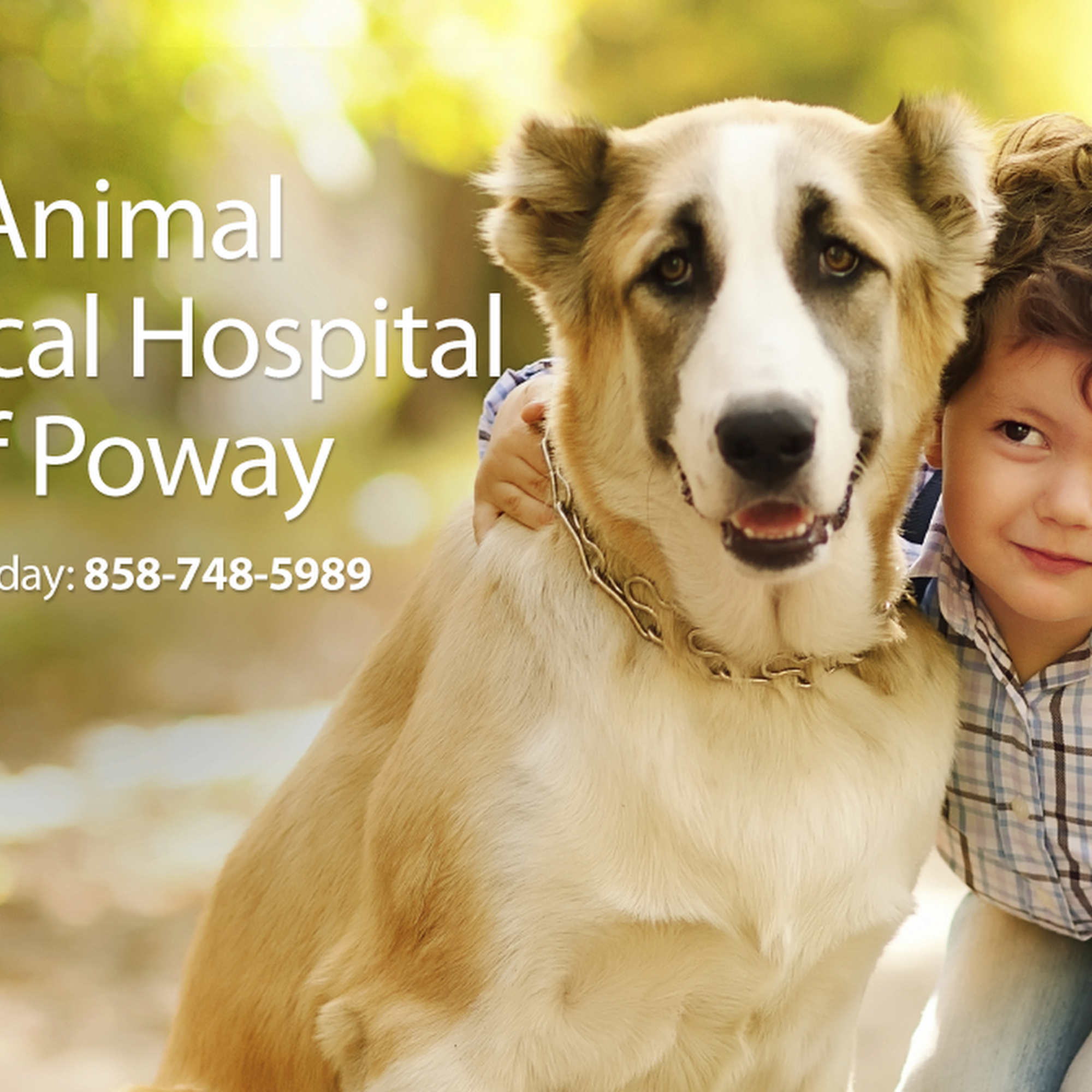 Animal Medical Hospital of Poway Poway