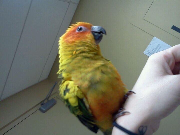 Photo credit: nextdoor