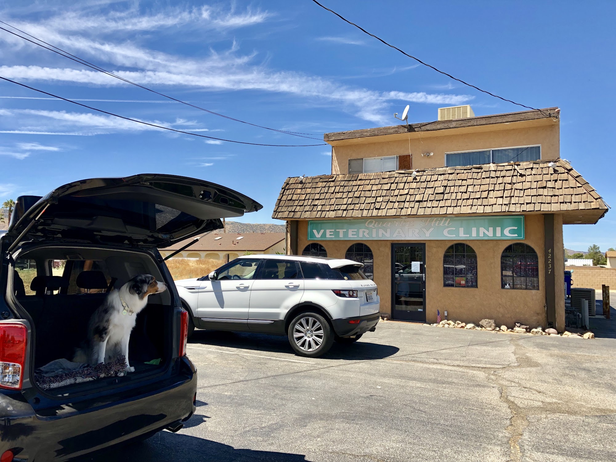 Quartz Hill Veterinary Clinic Quartz Hill