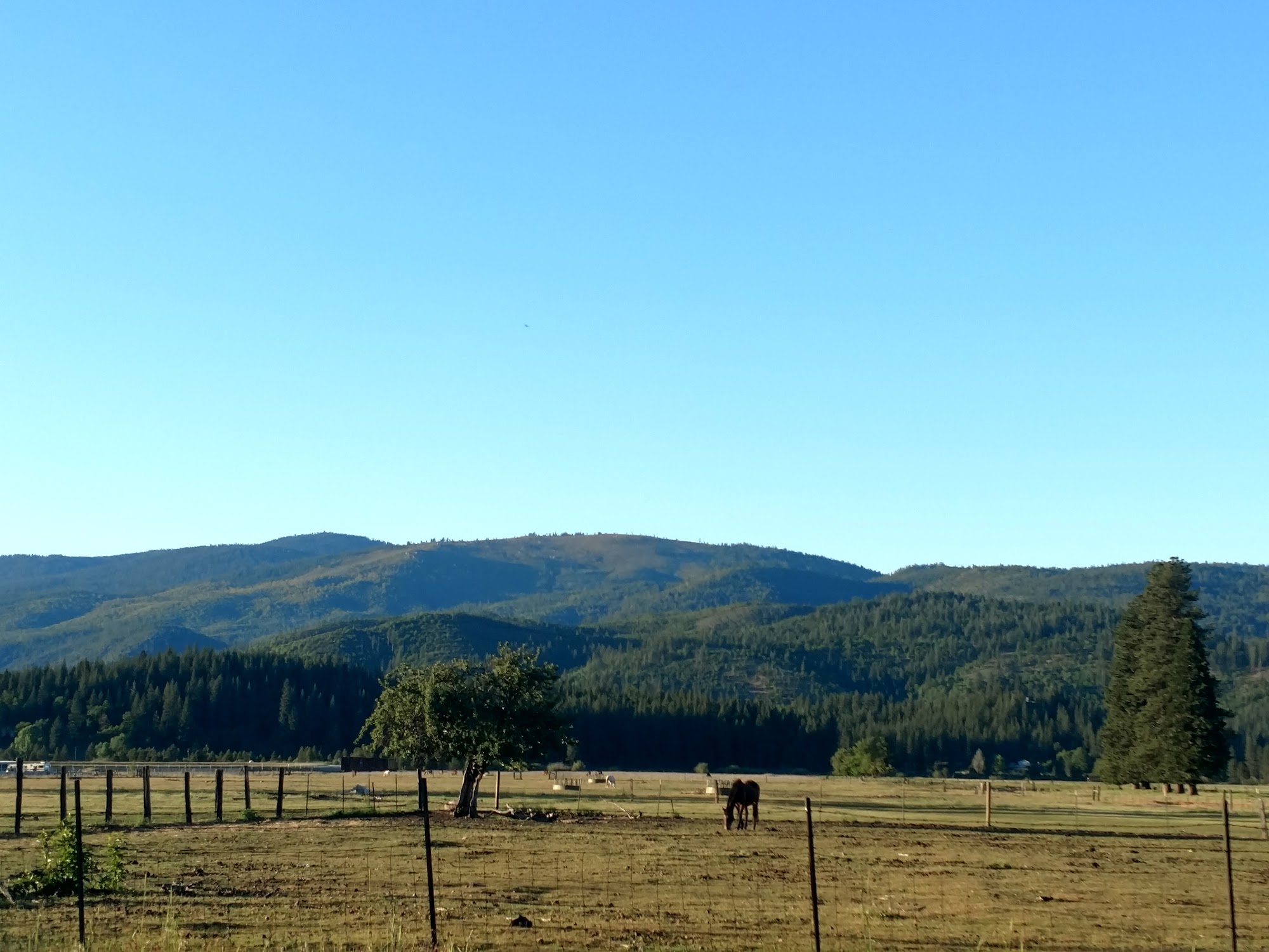 American Valley Animal Hospital Quincy