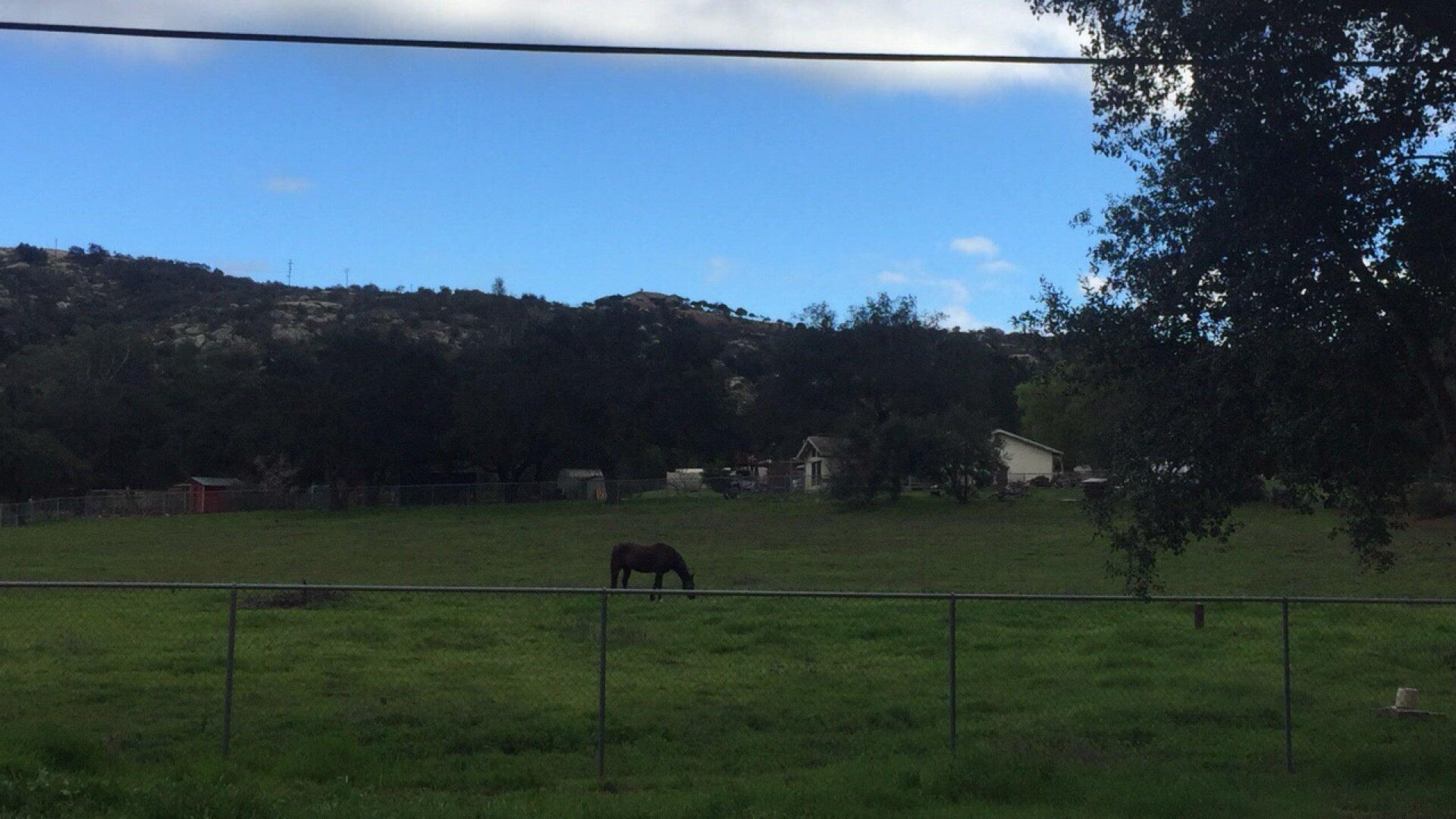 Photo credit: nextdoor