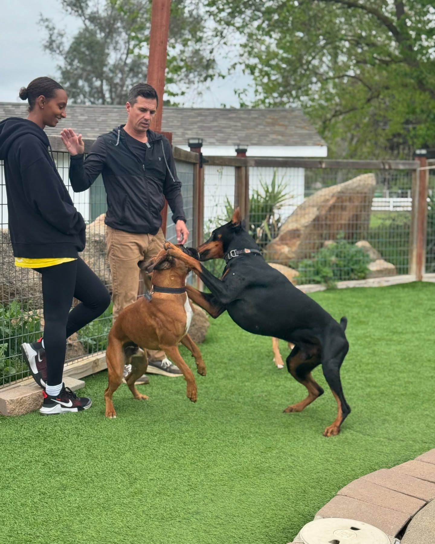 Beckman's Dog Training Ramona