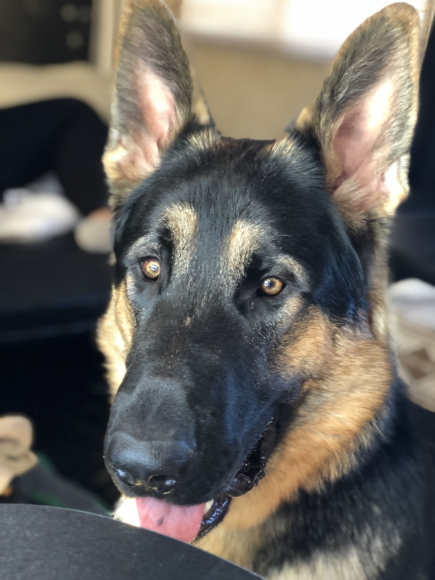 Barrel 1 Winery Ramona