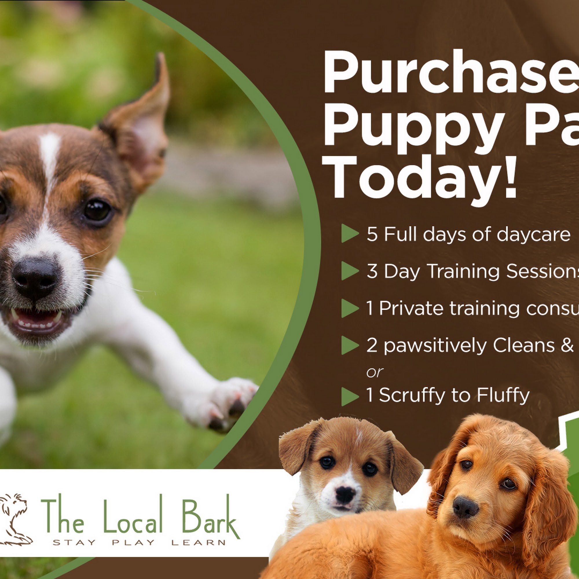 The Local Bark Rancho Cordova