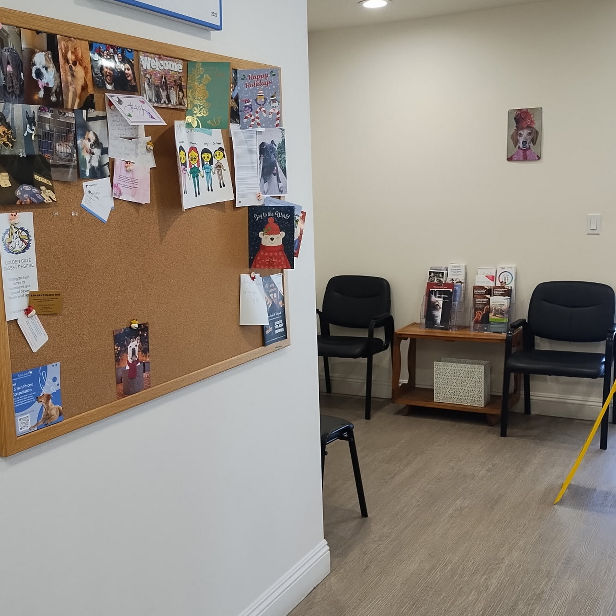 Veterinary Medical Center of Rancho Cordova Rancho Cordova