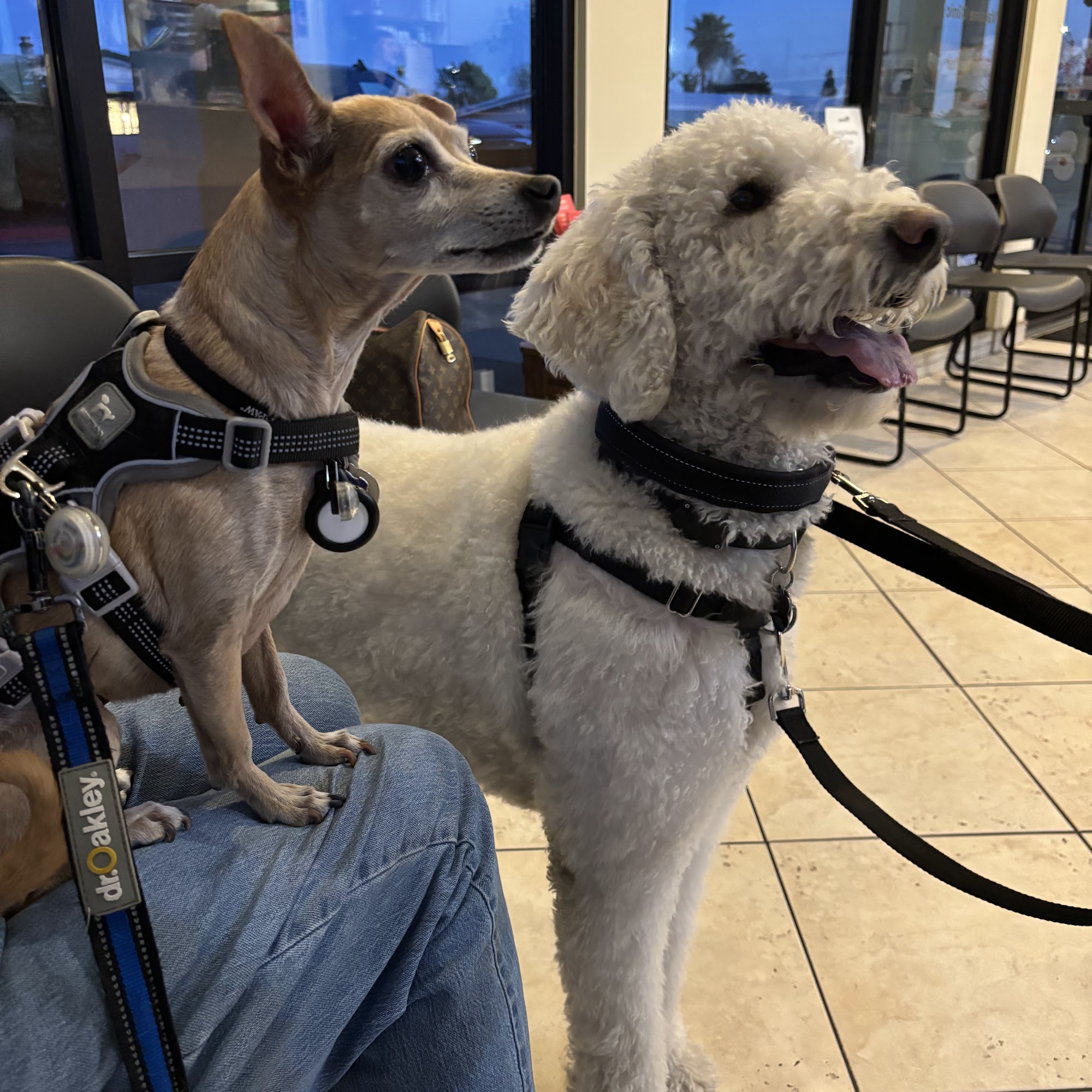 Baseline Animal Hospital, Boarding, & Grooming Rancho Cucamonga