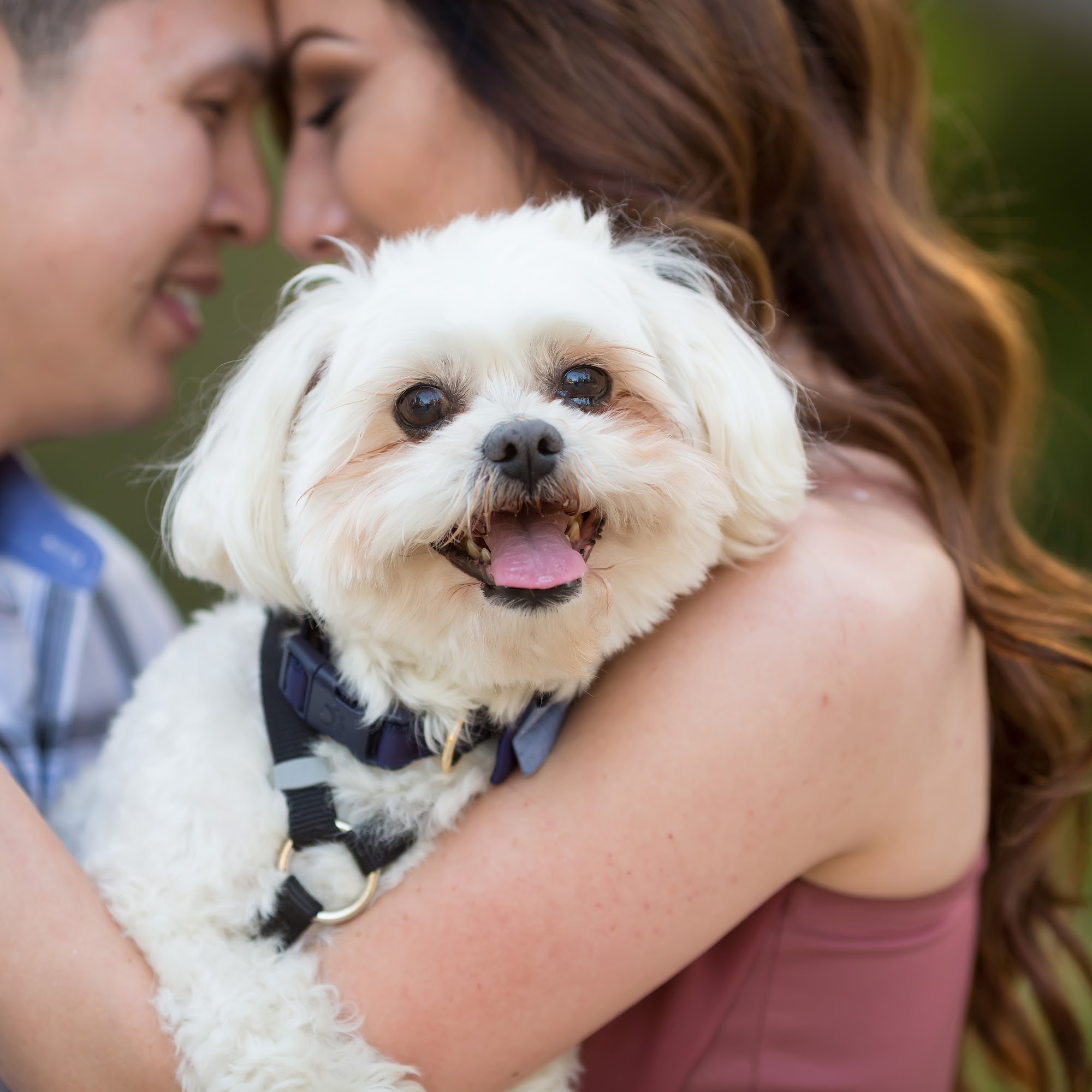 Barks & Bones Boutique Rancho Cucamonga