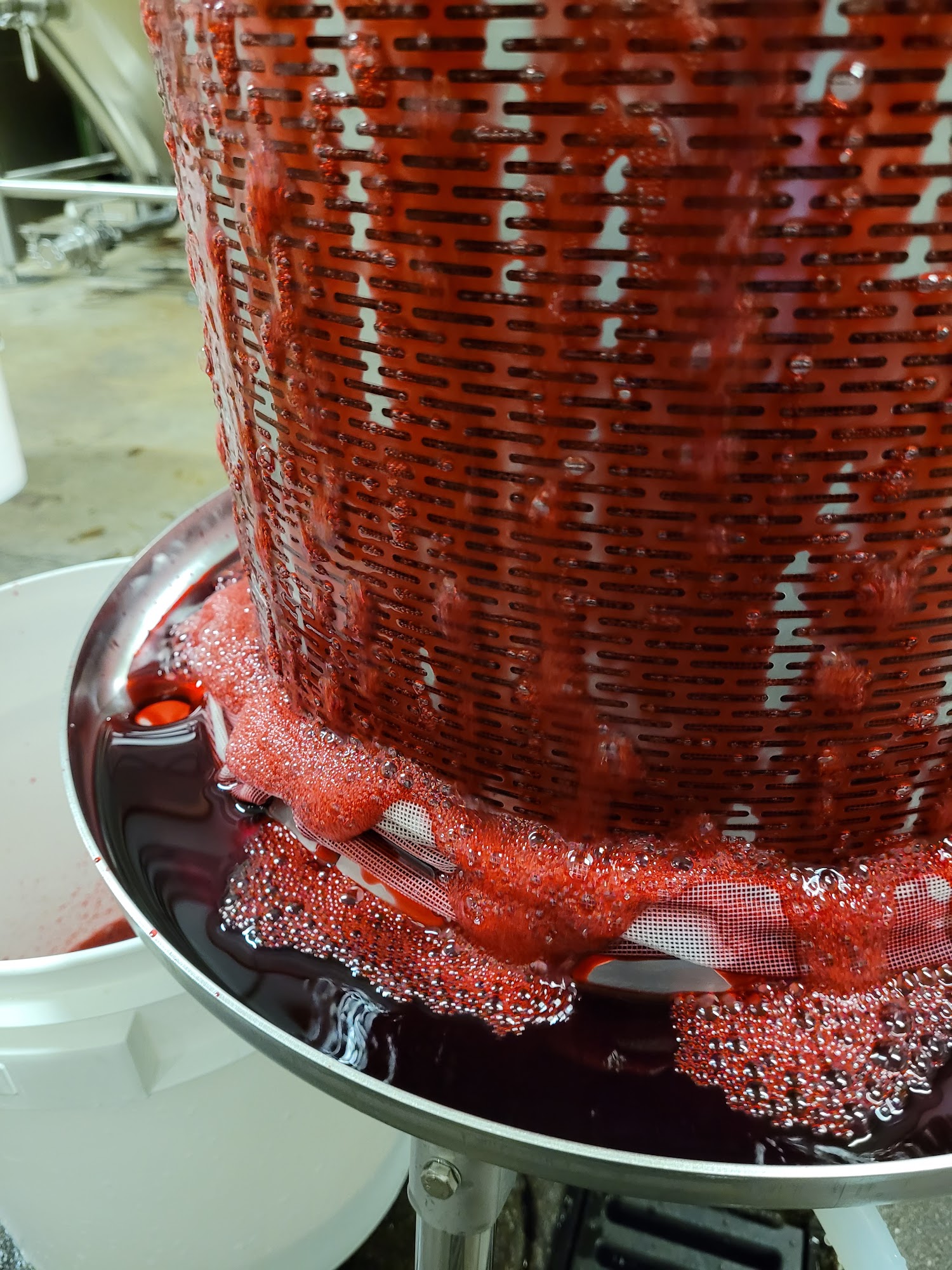 Sour Cellars Barrel Room Rancho Cucamonga