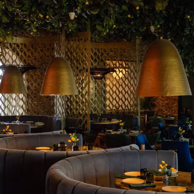 Photo credit: opentable