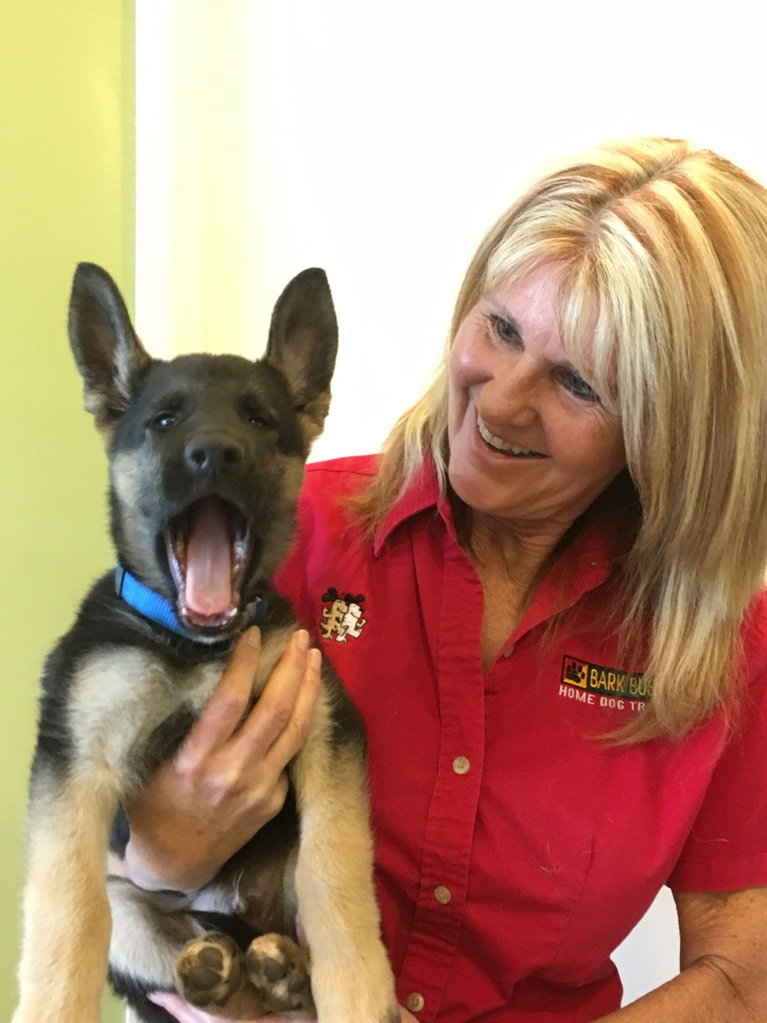 Bark Busters Home Dog Training Rancho Cucamonga