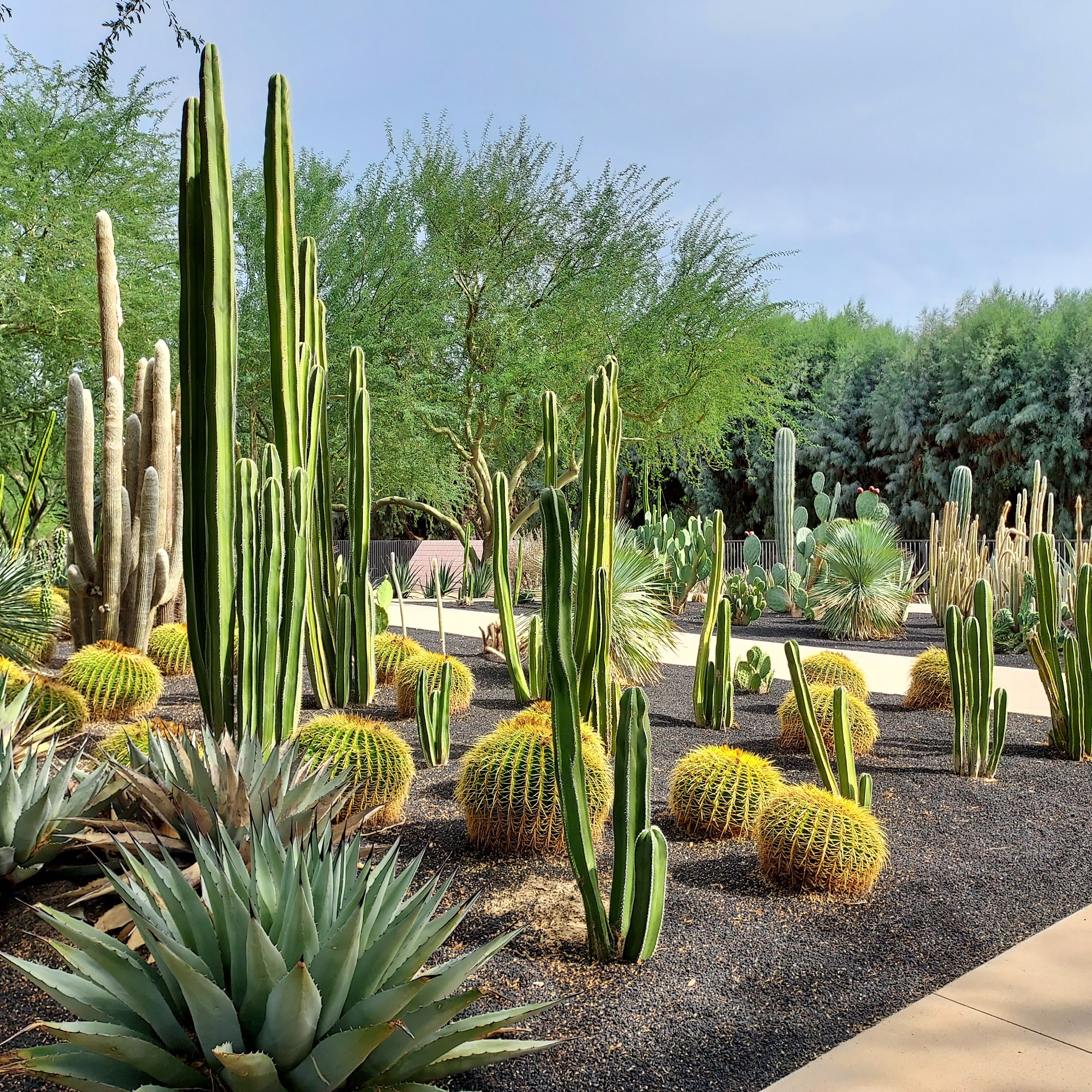 Sunnylands Center & Gardens Rancho Mirage