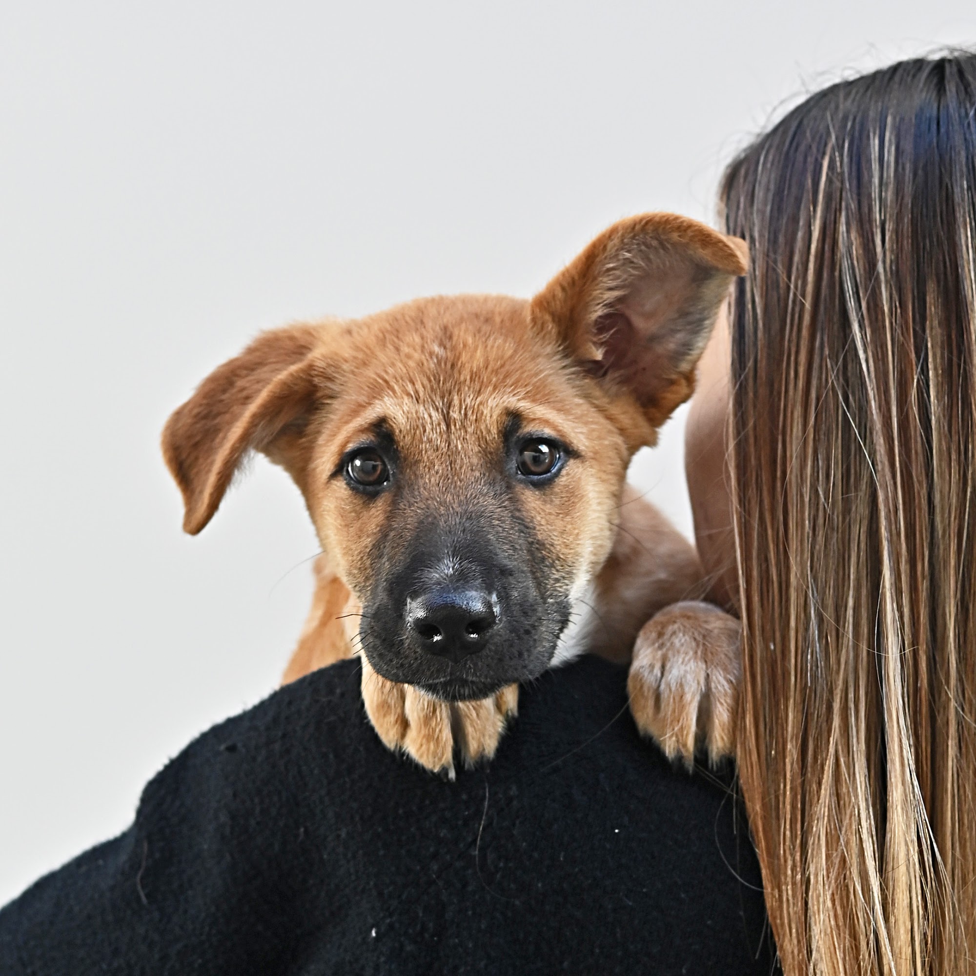 Helen Woodward Animal Center Rancho Santa Fe