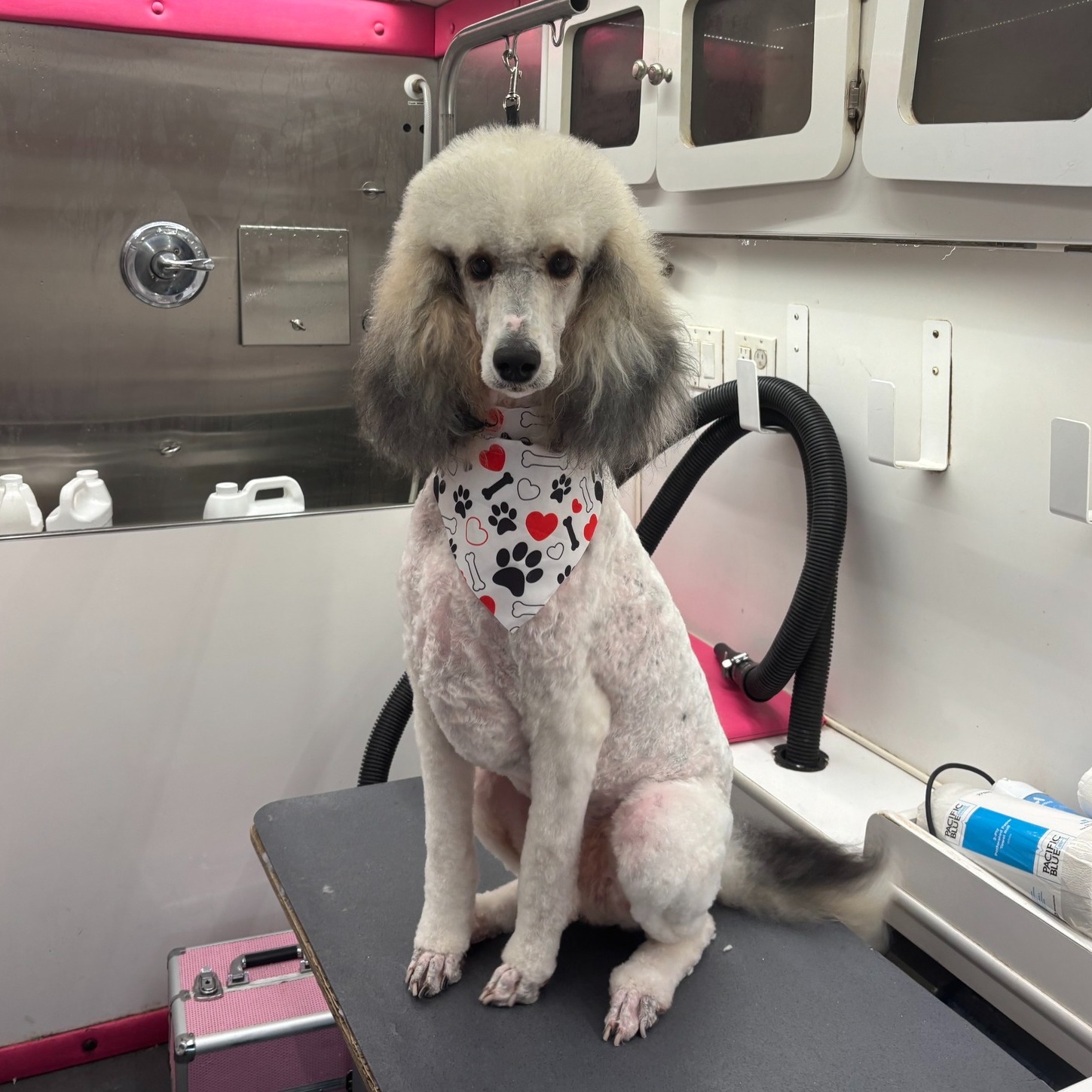 Happy Spa Dogs Mobile Grooming Rancho Santa Fe