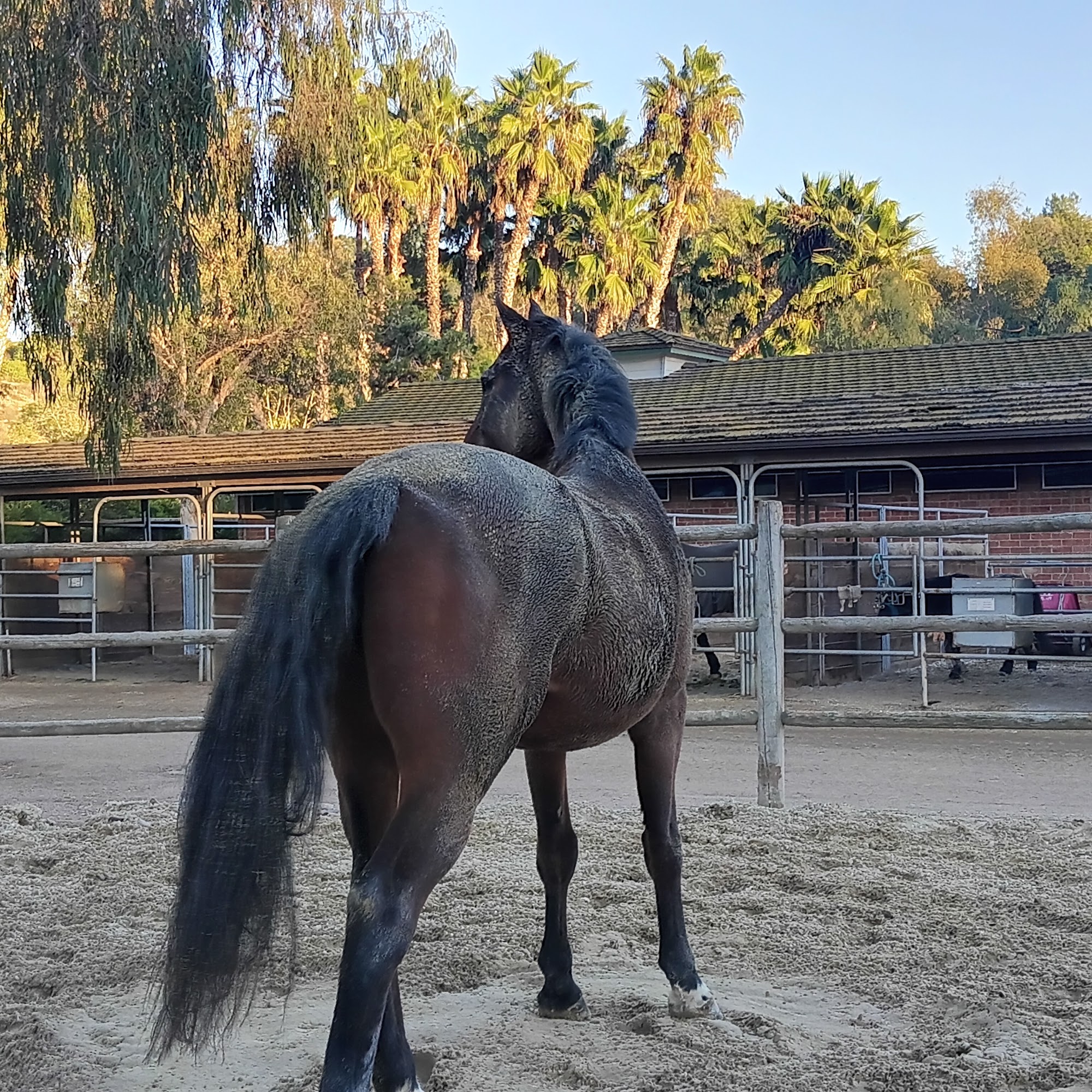 Rancho Riding Club