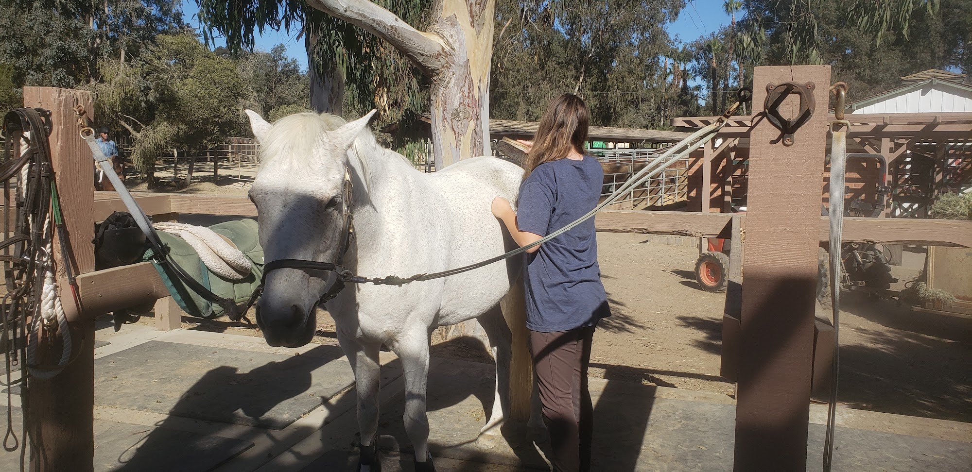 Rancho Riding Club 16924 Rambla De Las Flores, Rancho Santa Fe California 92067