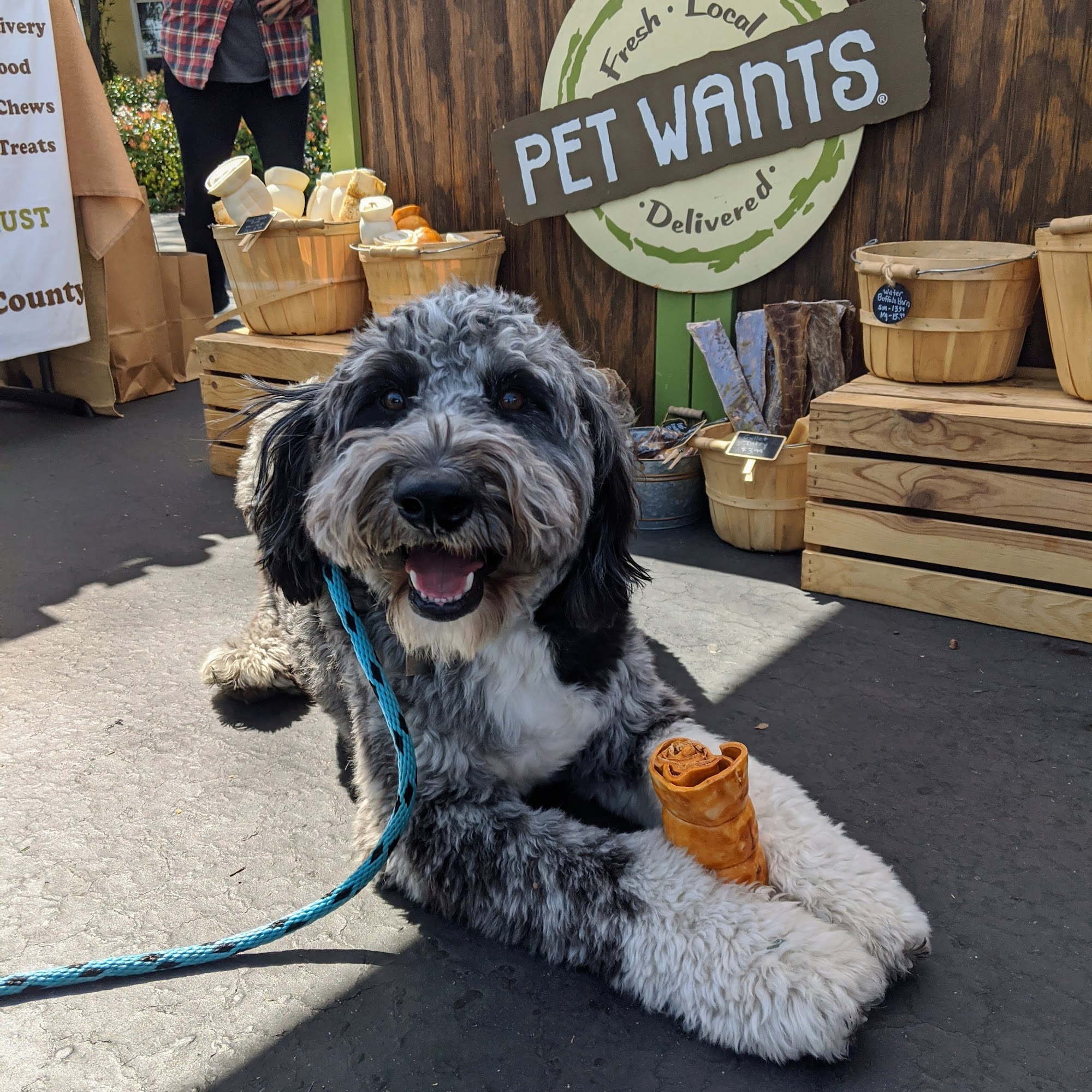 Pet Wants South County Rancho Santa Margarita