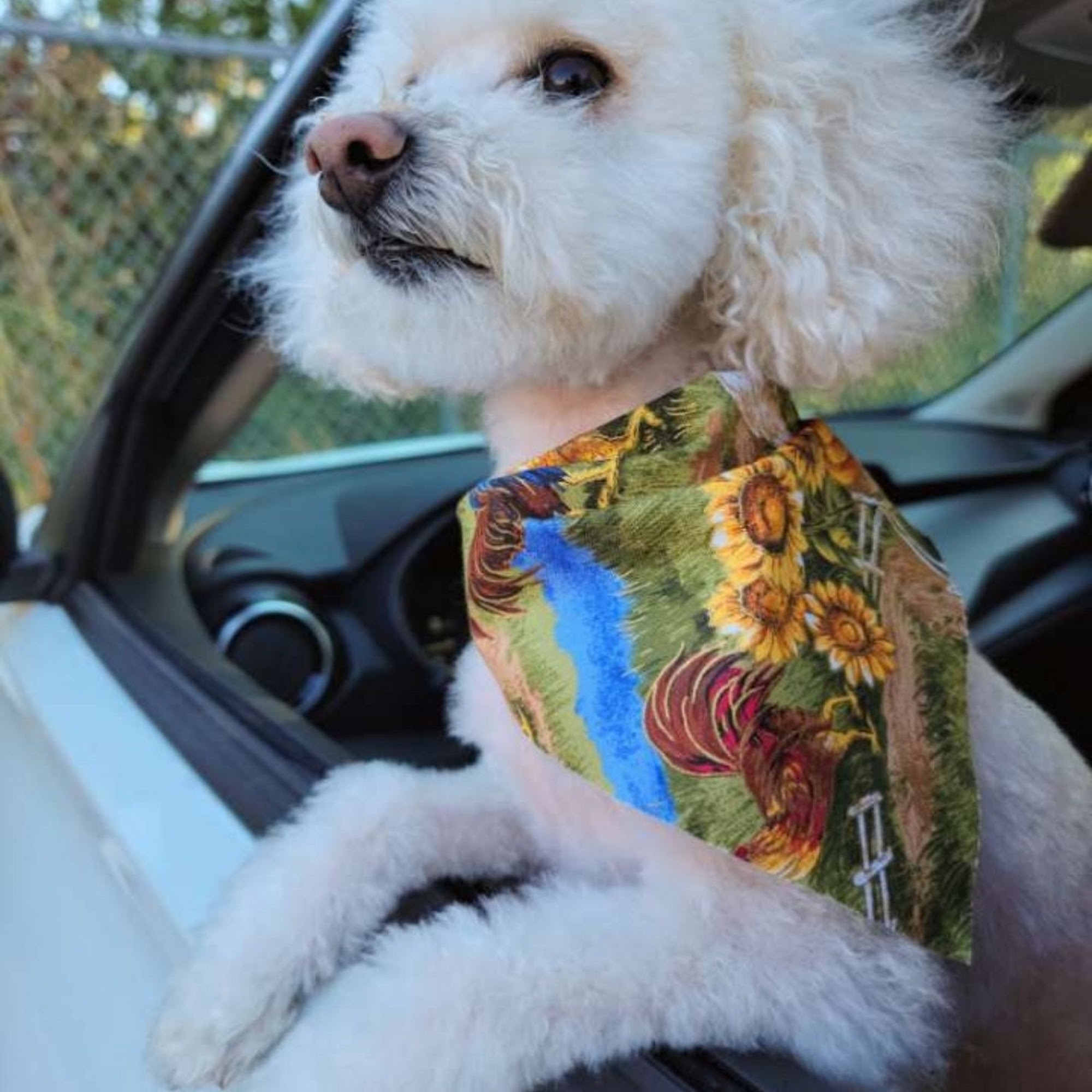 Red Bluff Veterinary Clinic Red Bluff