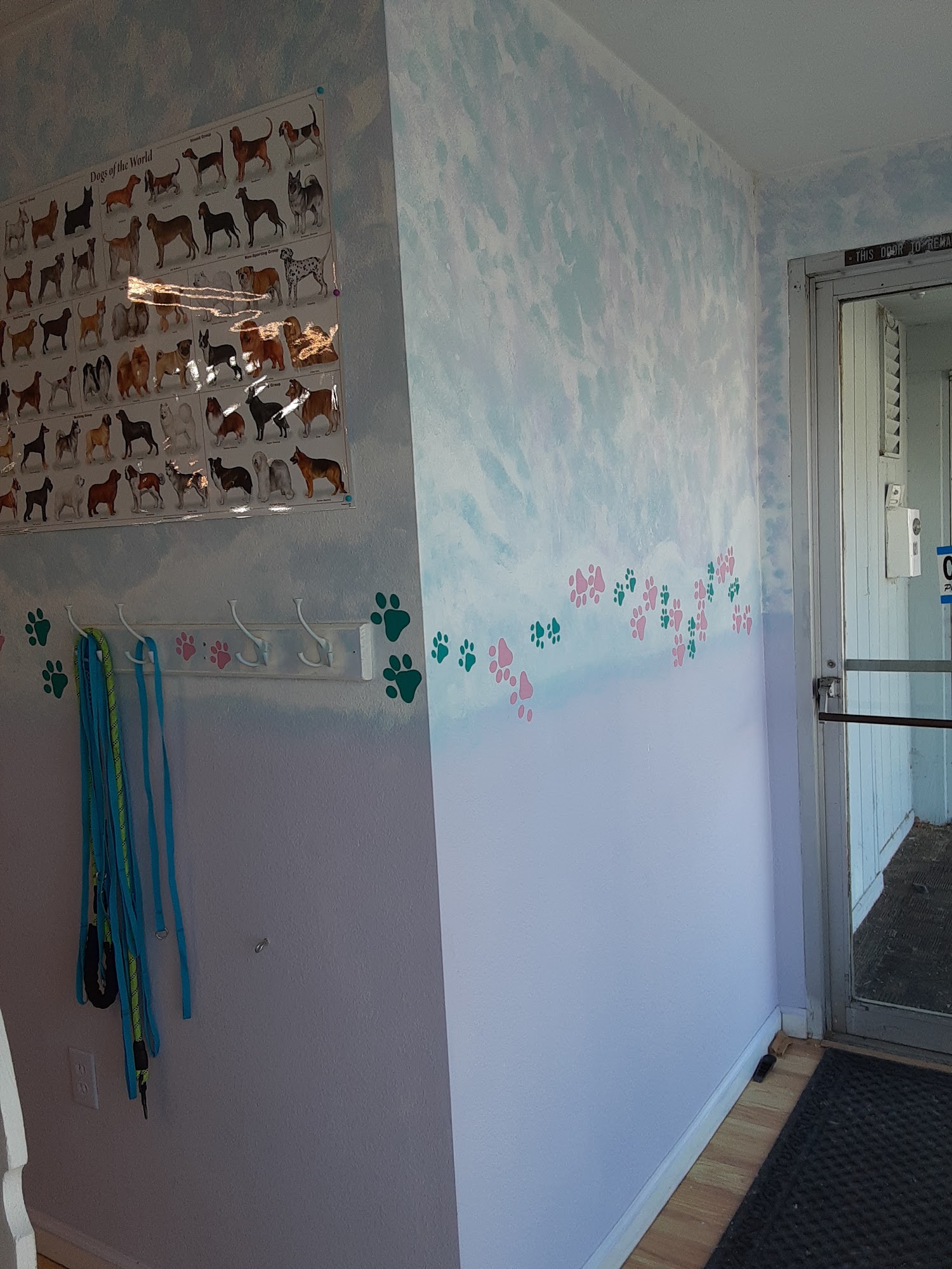 Urban Dog Spaw Red Bluff