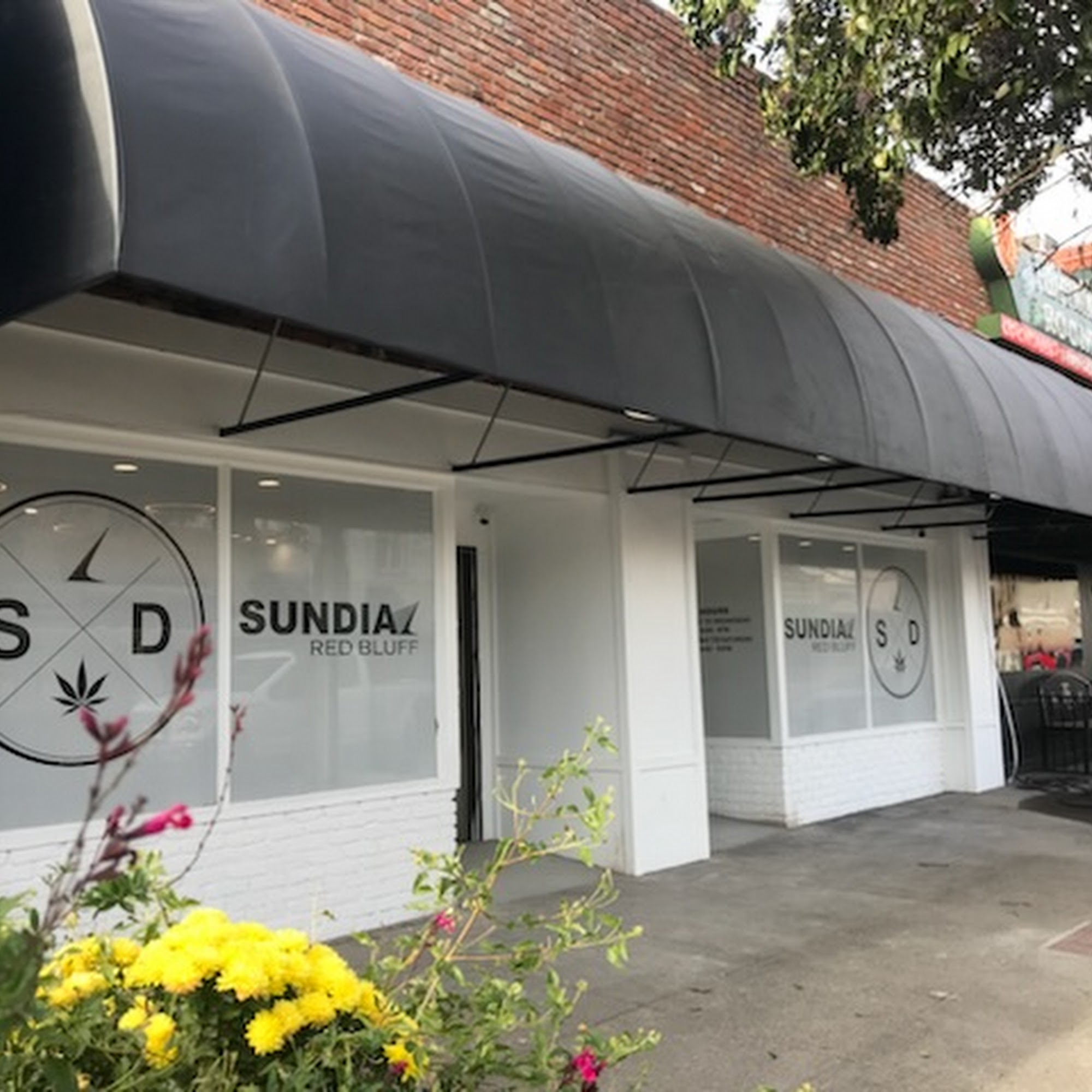 Sundial Collective - Red Bluff Red Bluff