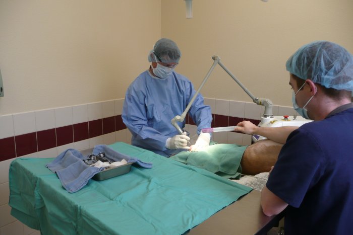 VCA Asher Animal Hospital Redding