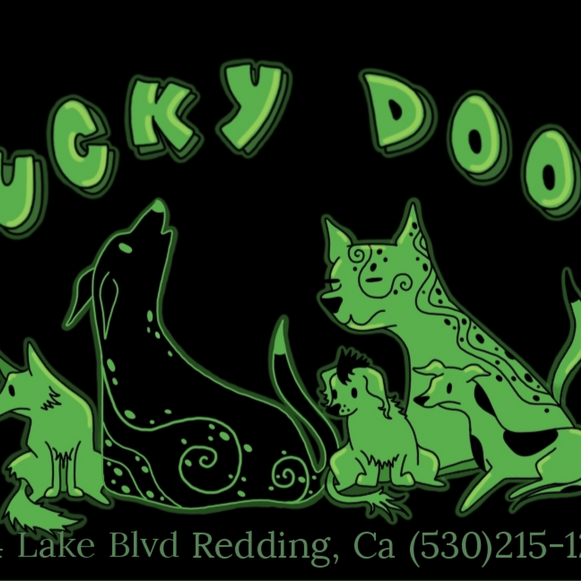 Lucky Doo's Redding