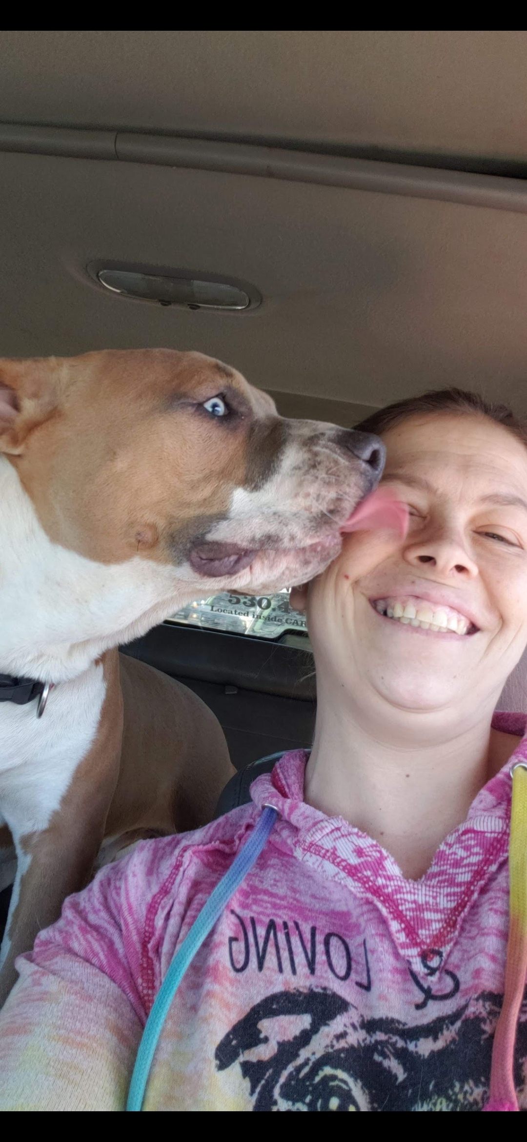Kristys Pawsitive K9 Grooming Redding