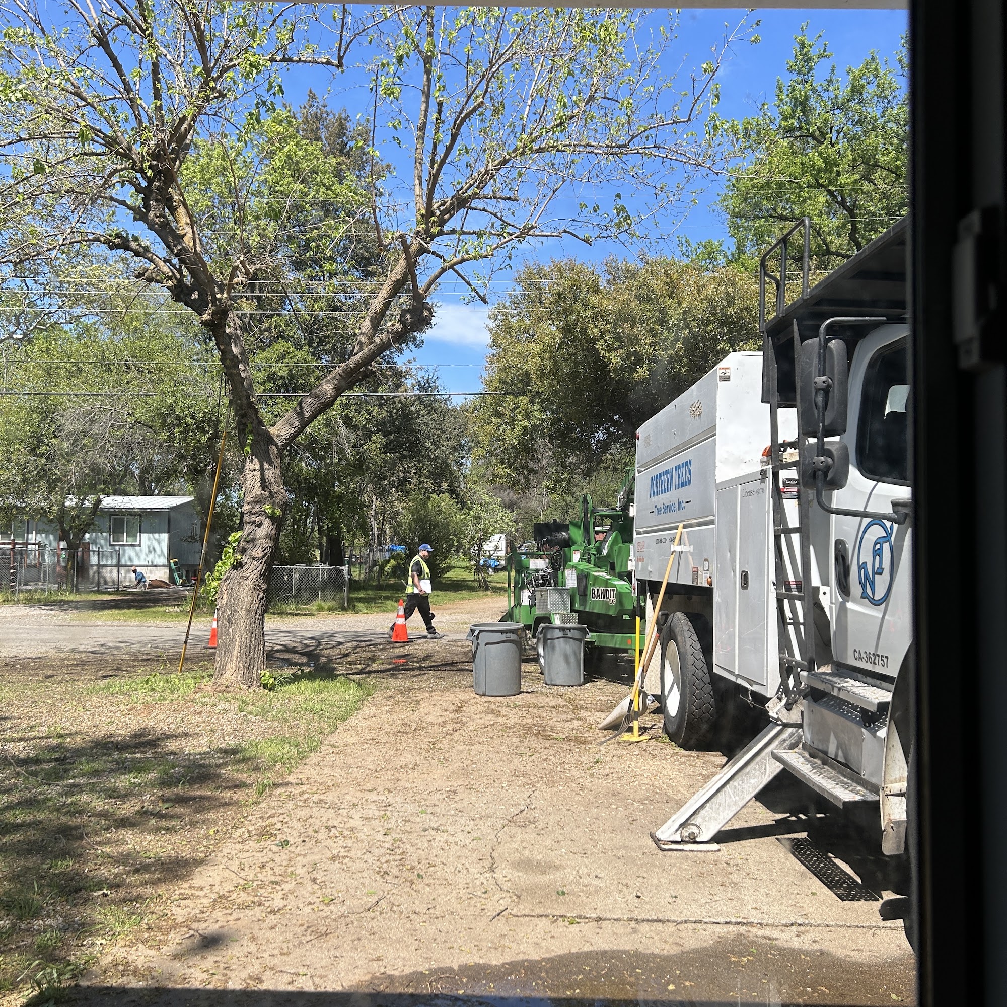 Northern Trees 3464 Bechelli Ln Suite E, Redding California 96002