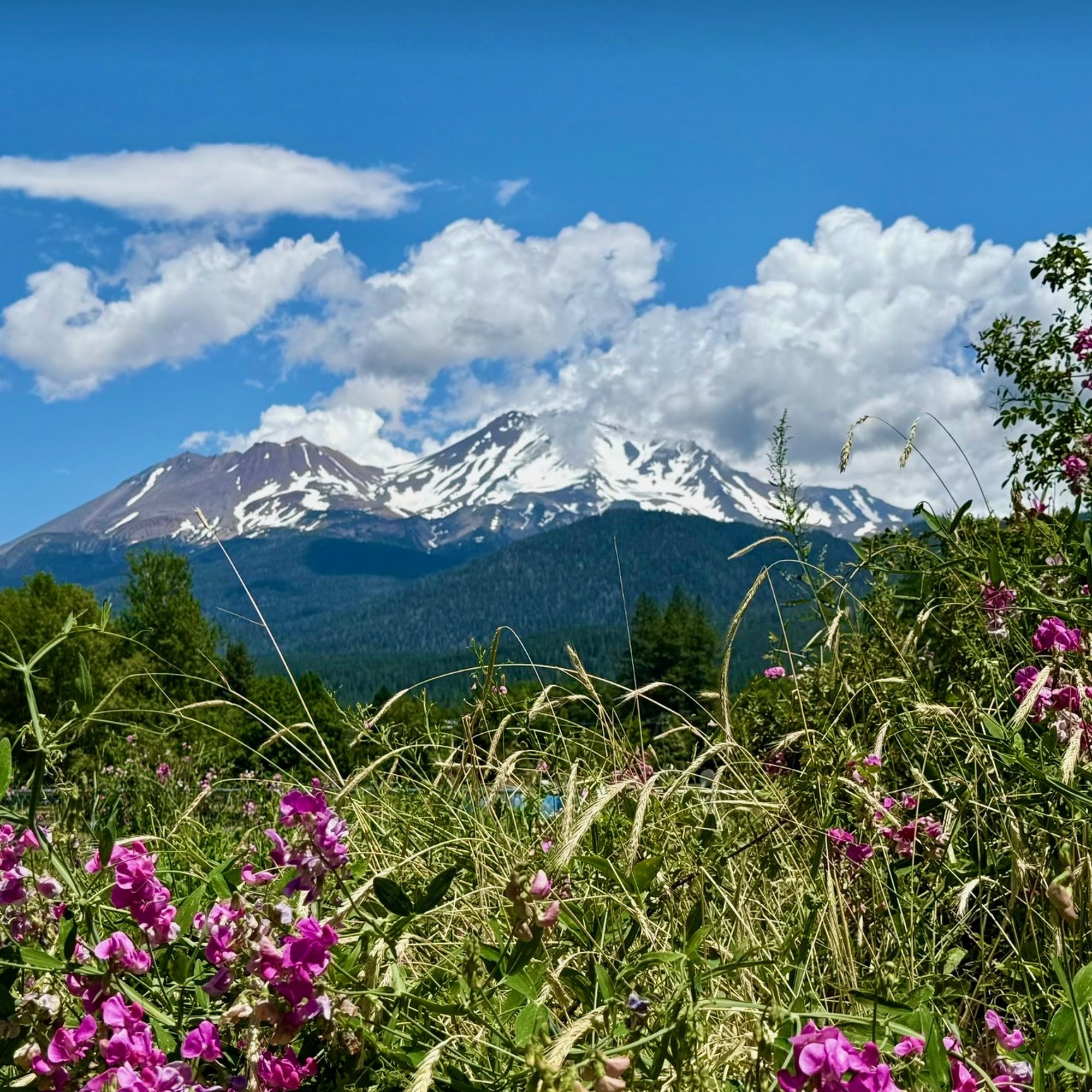 Euphoria Healing Arts 3330 Churn Crk Rd Suite B3, Redding California 96002