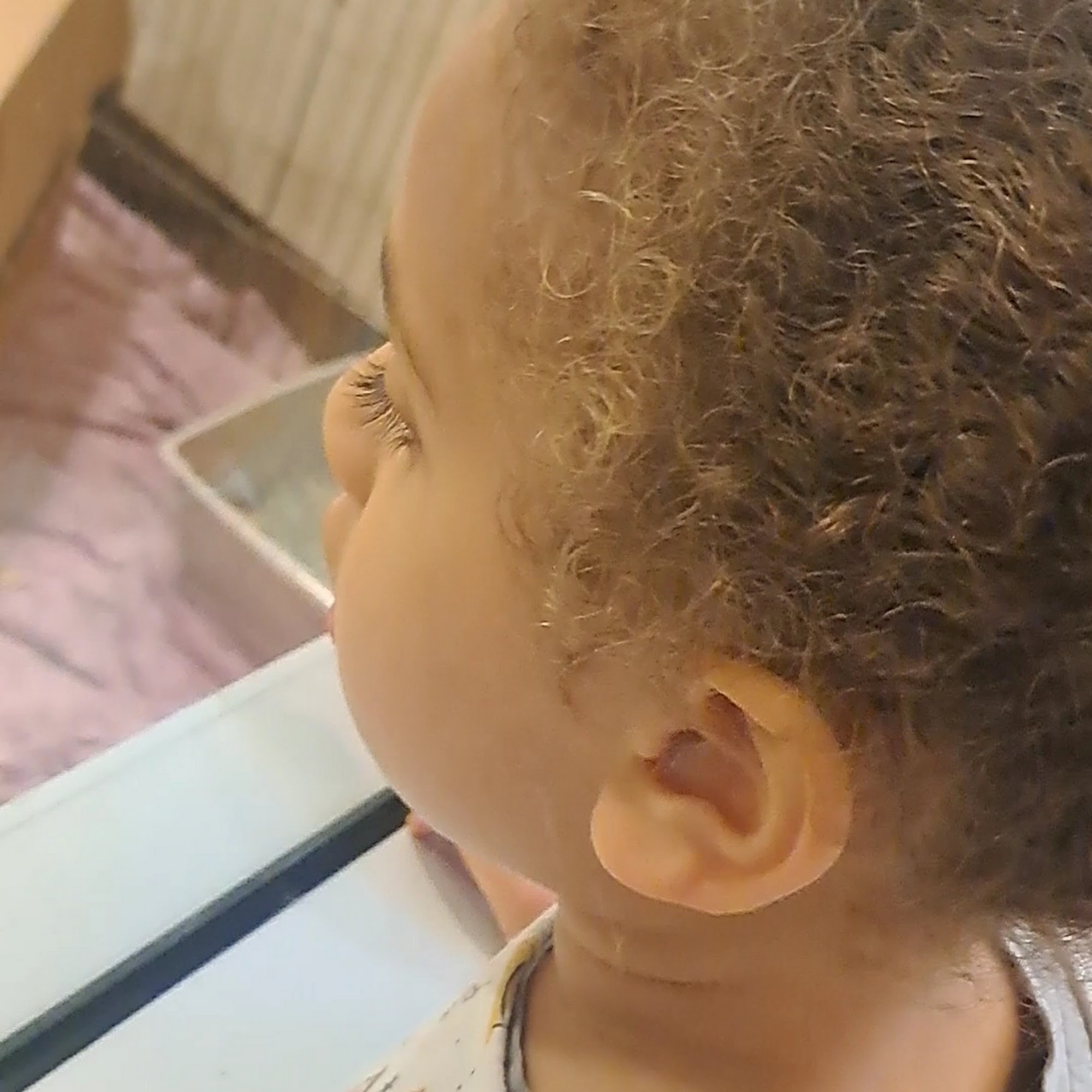 Pets In Need Redwood City Redwood City